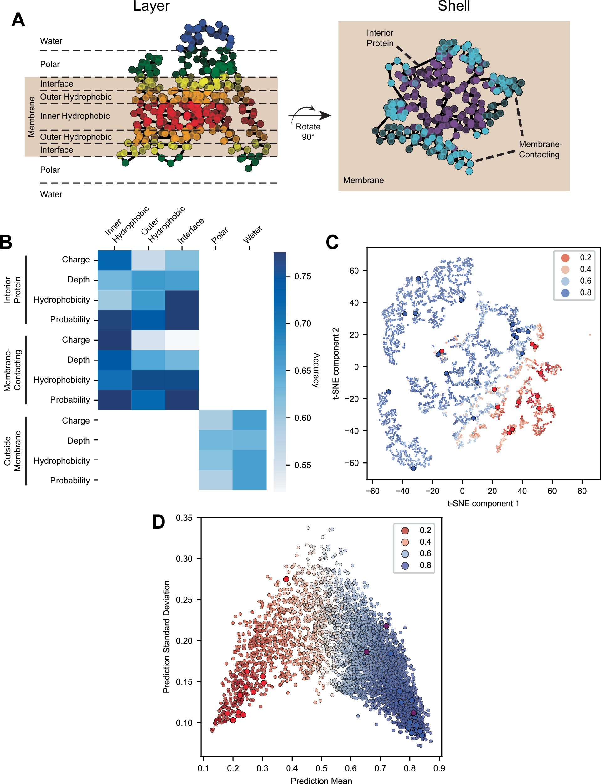 Fig. 5: Structural features predict successful membrane protein synthesis in artificial environments.