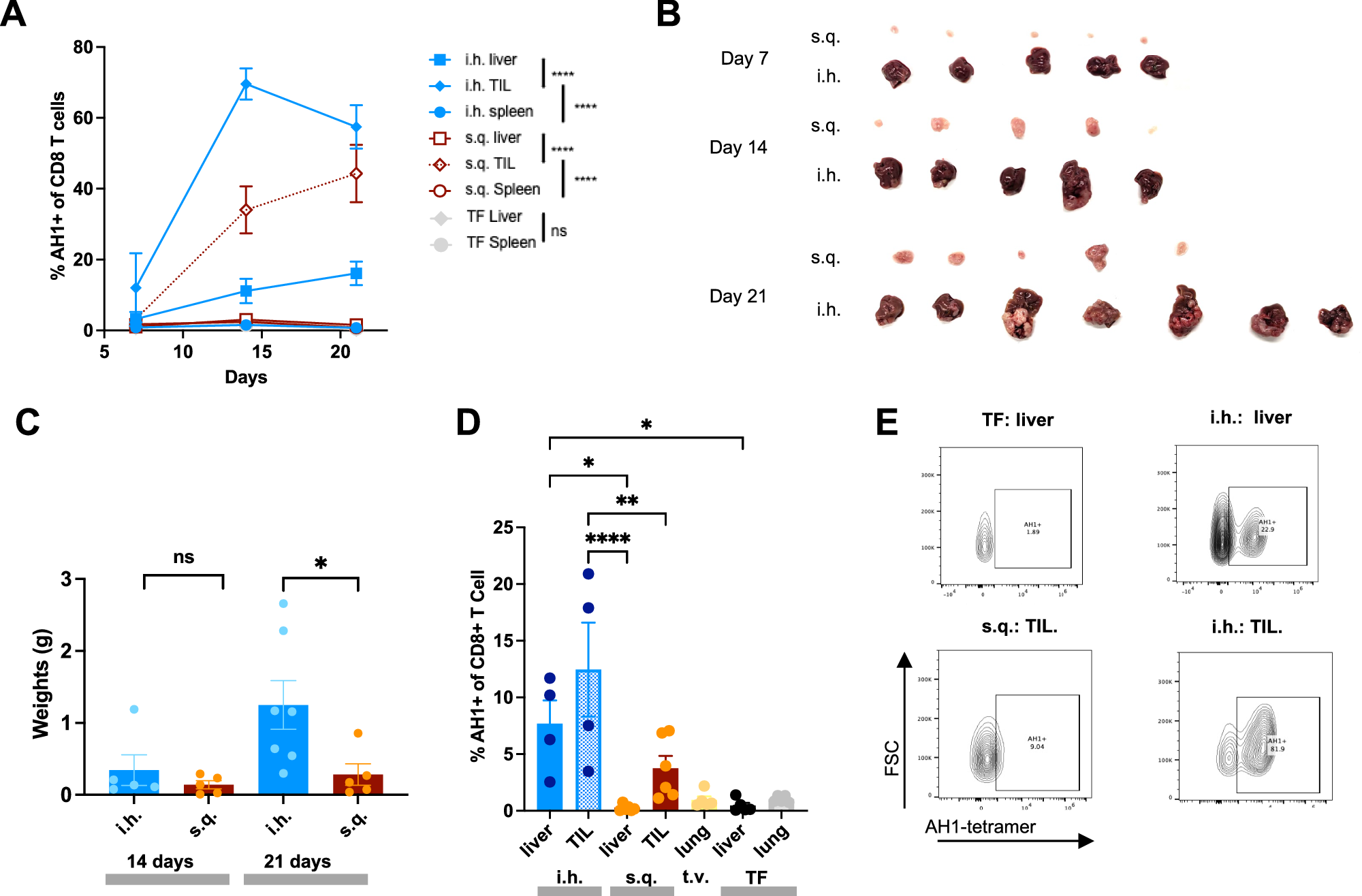 Fig. 1: Tumor-Antigen-Specific (TAS) CD8 T Cells Across Murine Models.