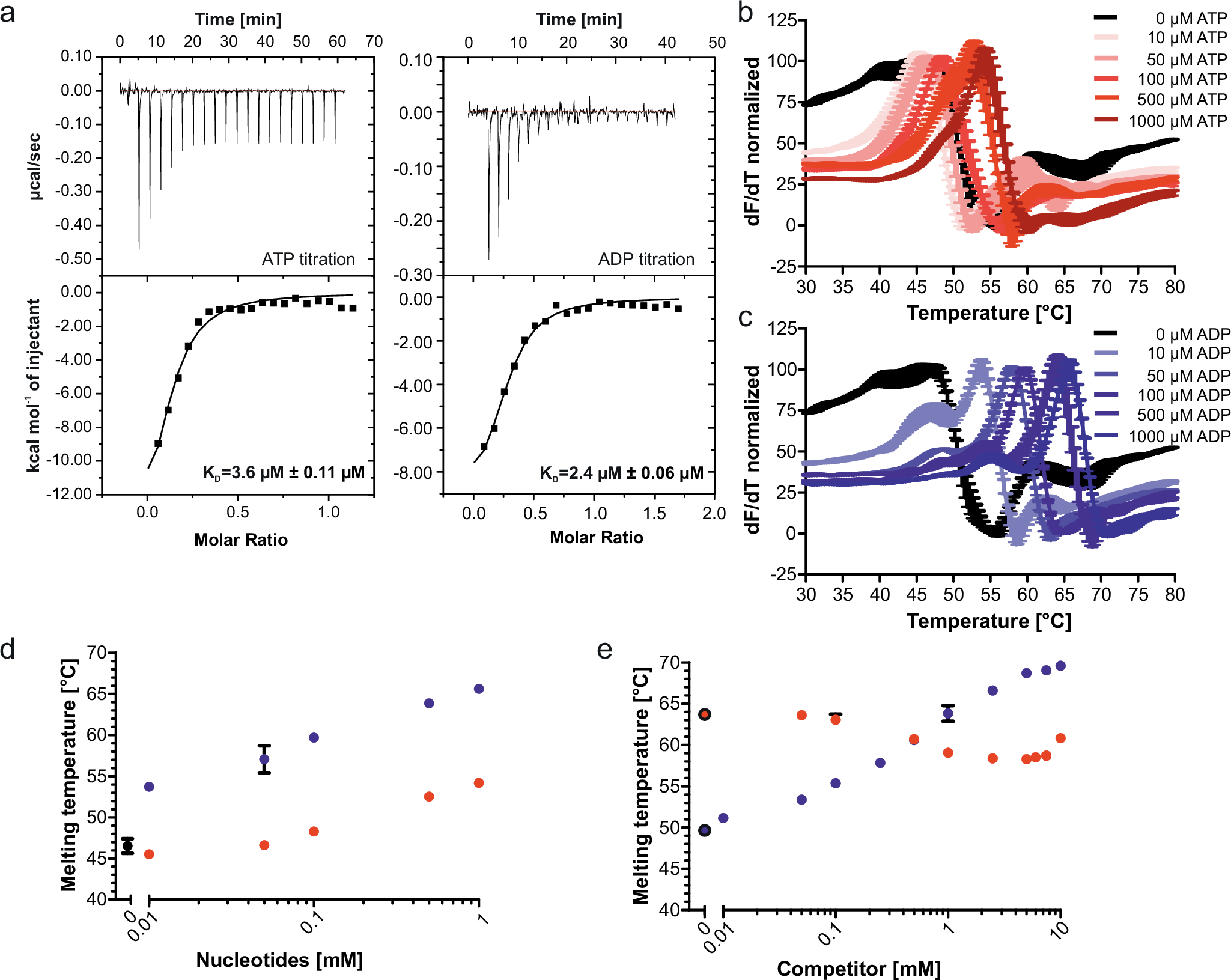 Fig. 3: Binding affinities of nucleotides to KtrA and nucleotide-dependent protein stabilization.
