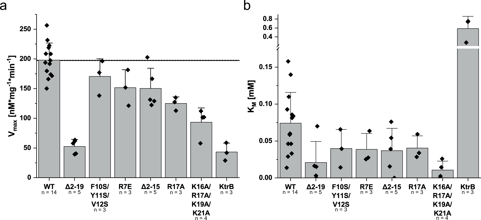 Fig. 9: Deletion and mutations of the KtrB N-terminus affect K+ uptake by the KtrAB complex.