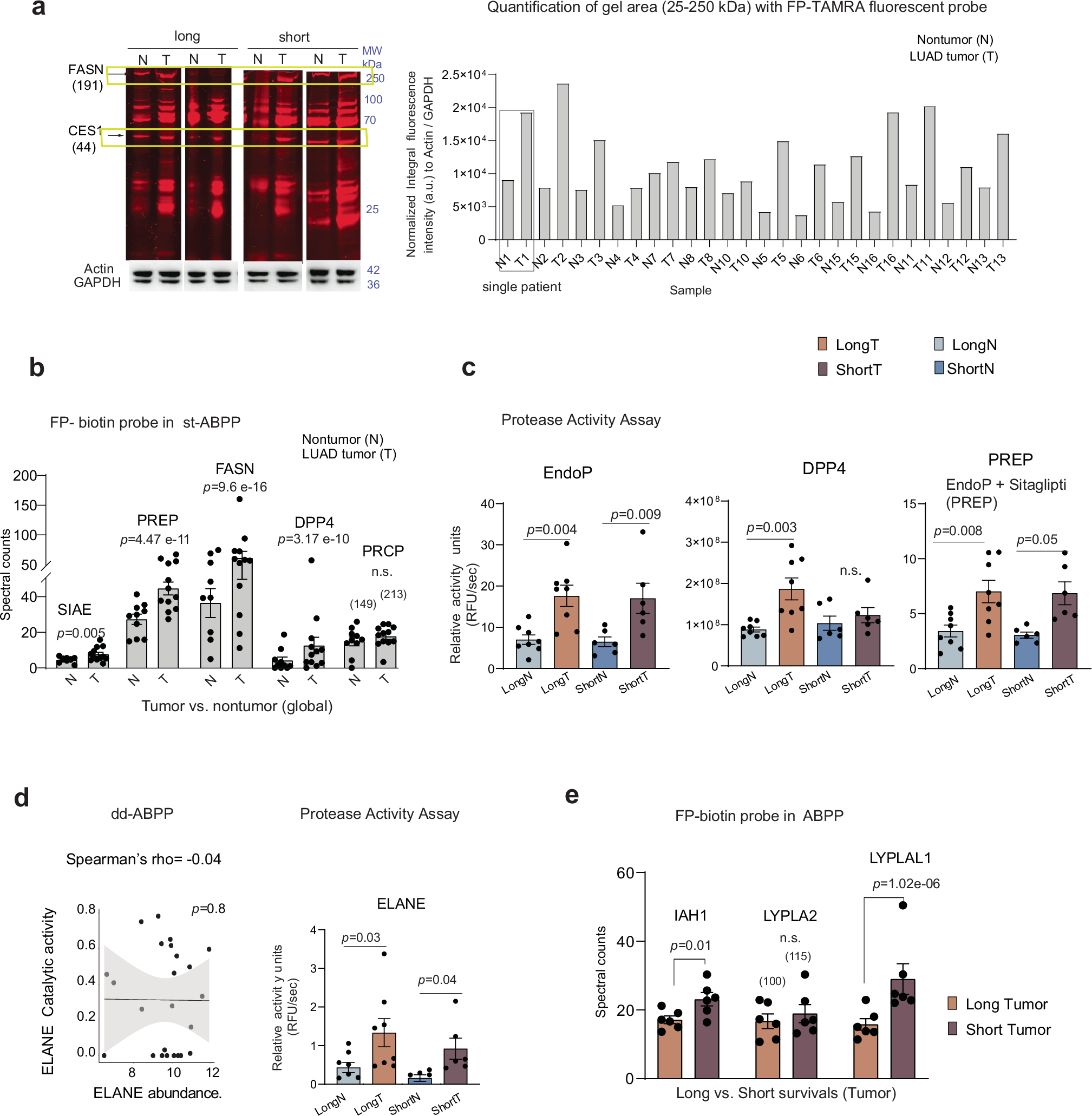 Fig. 4: Validation of dd-ABPP-SWATH/DIA MS by orthogonal techniques.