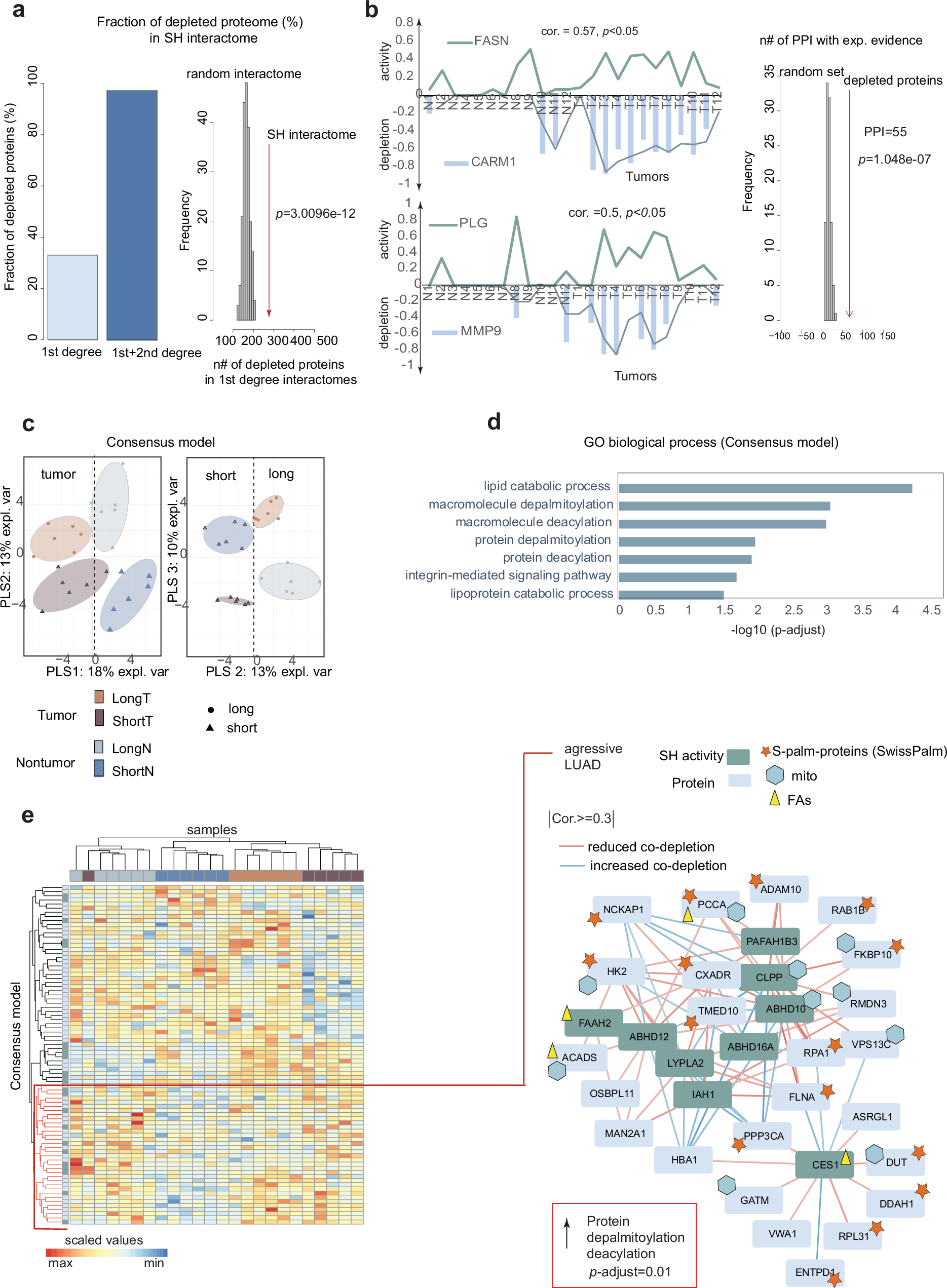Fig. 5: Functional links between catalytic enzymes and significantly often co-depleted proteins reveal differences in protein palmitoylation status in aggressive LUAD subtype.