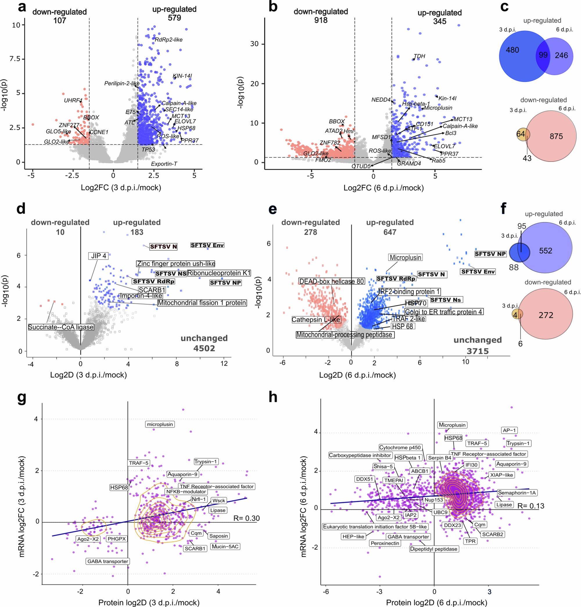 Fig. 2: Differential transcript expression and protein levels in SFTSV-infected R. microplus BME6 cells.