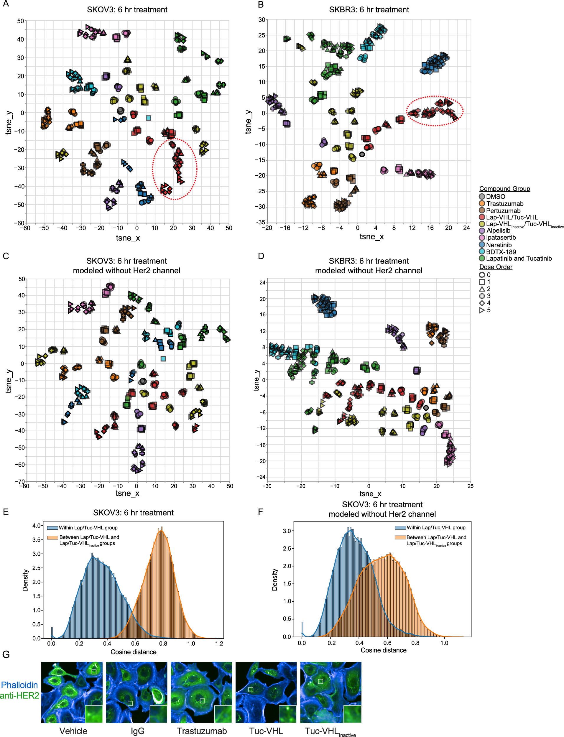 Fig. 2: Impact of Her2 staining information on morphological profiles.