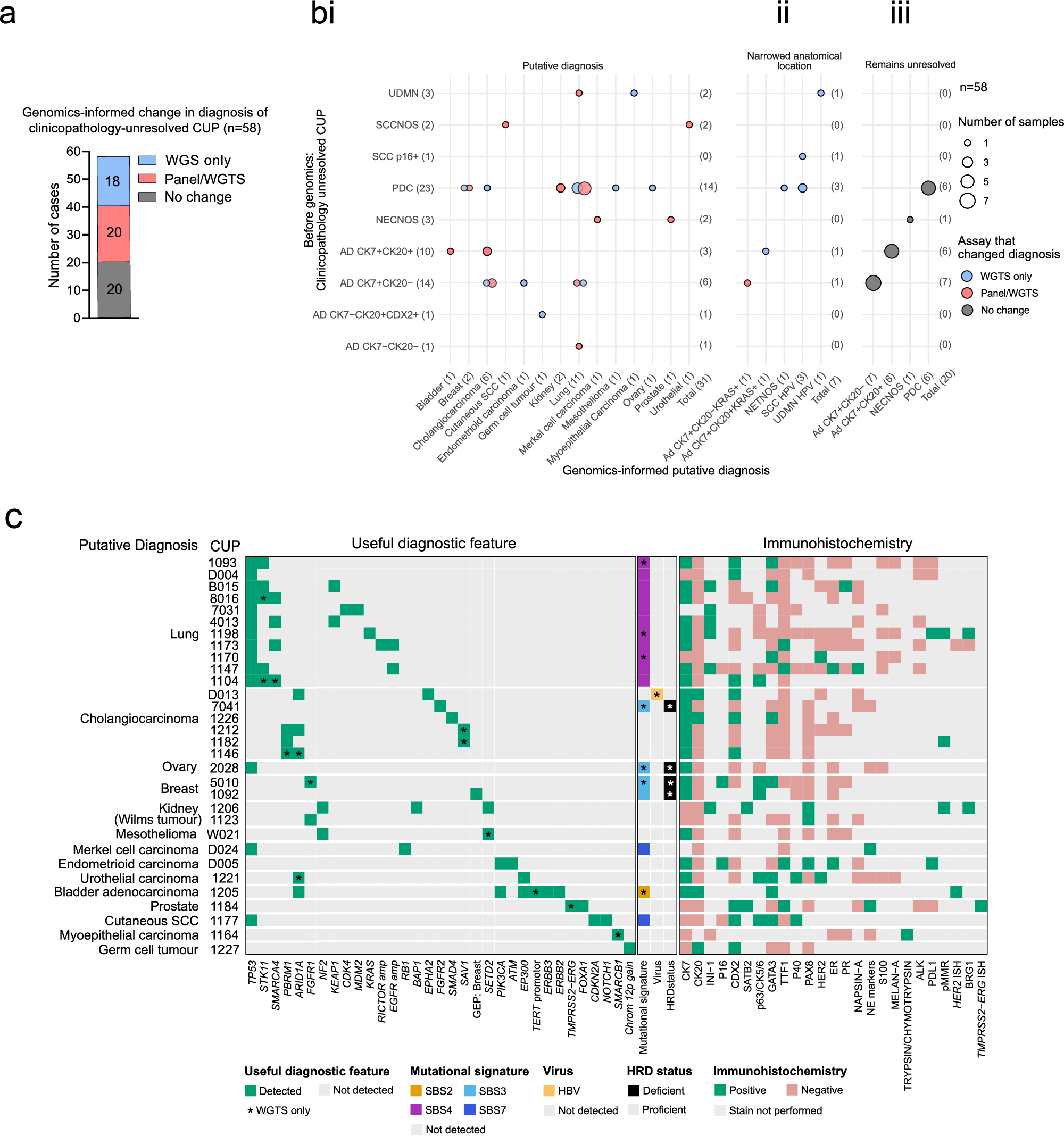 Fig. 3: WGTS features aid clinicopathology work up of CUP patients.