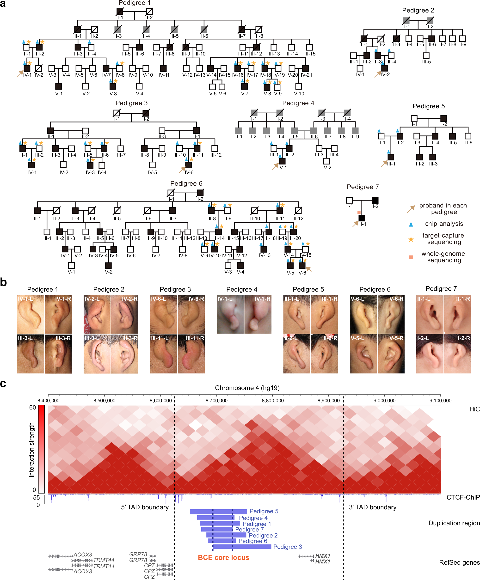7 Ways to Make Students Love Your Lessons | by Dr. P. K. Roy | Write A  Catalyst | Medium, image size:1998x2415