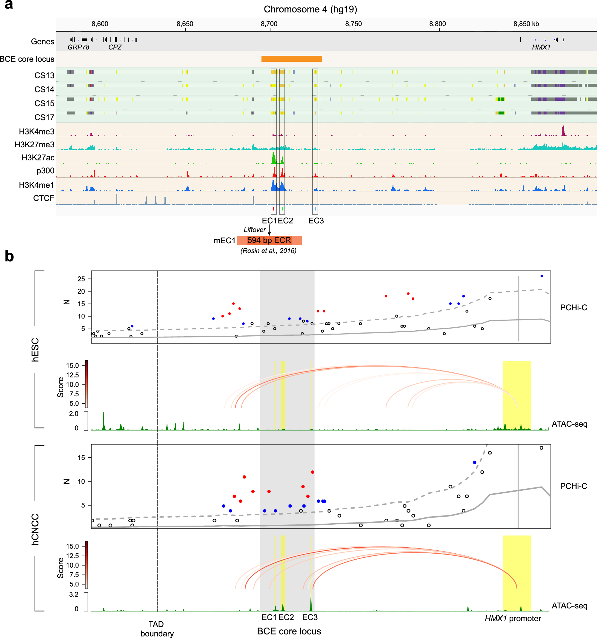 Fig. 2: Identification and characterization of candidate enhancers at the BCE core locus.