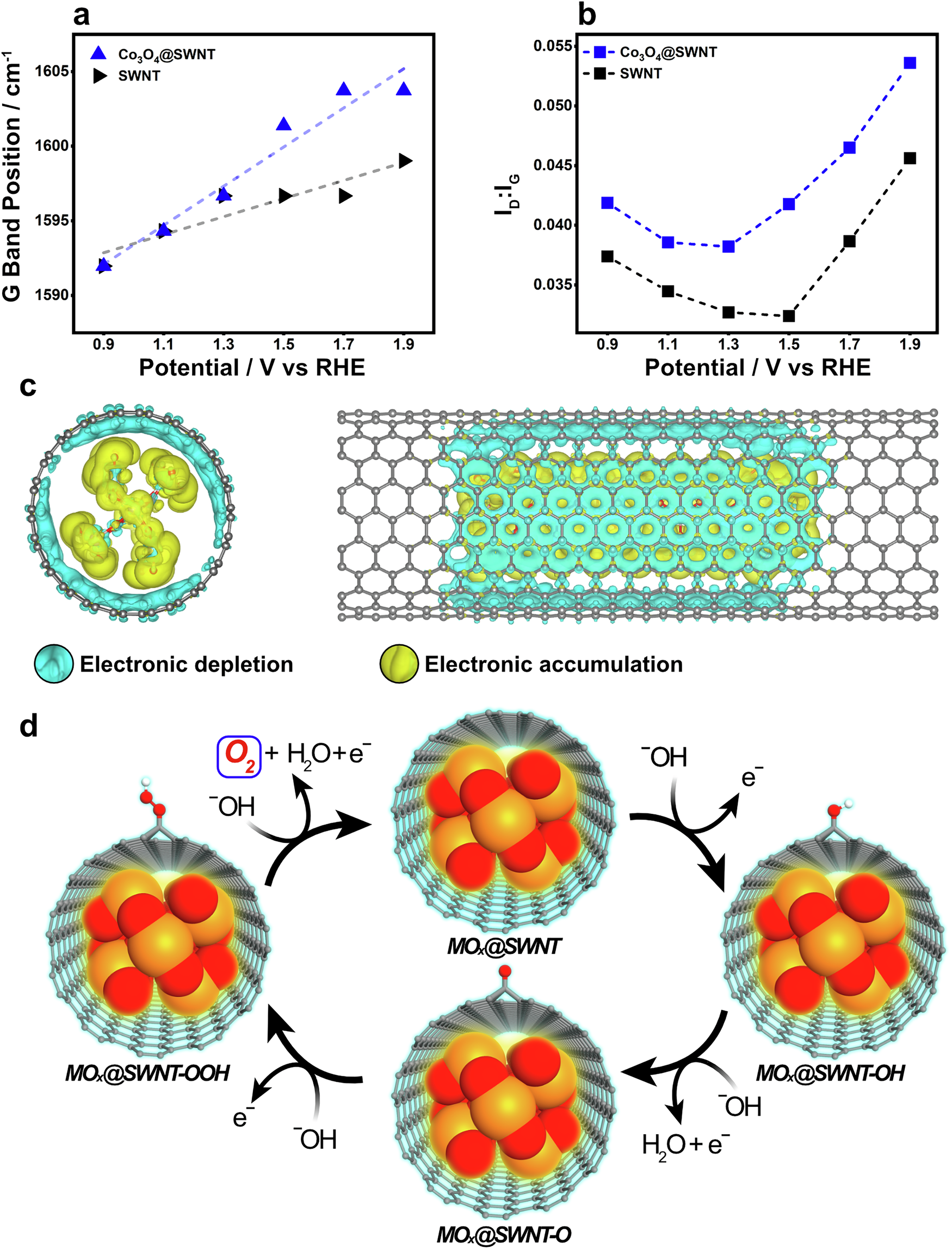 Fig. 4: Mechanistic Understanding of MOx@SWNT for OER.