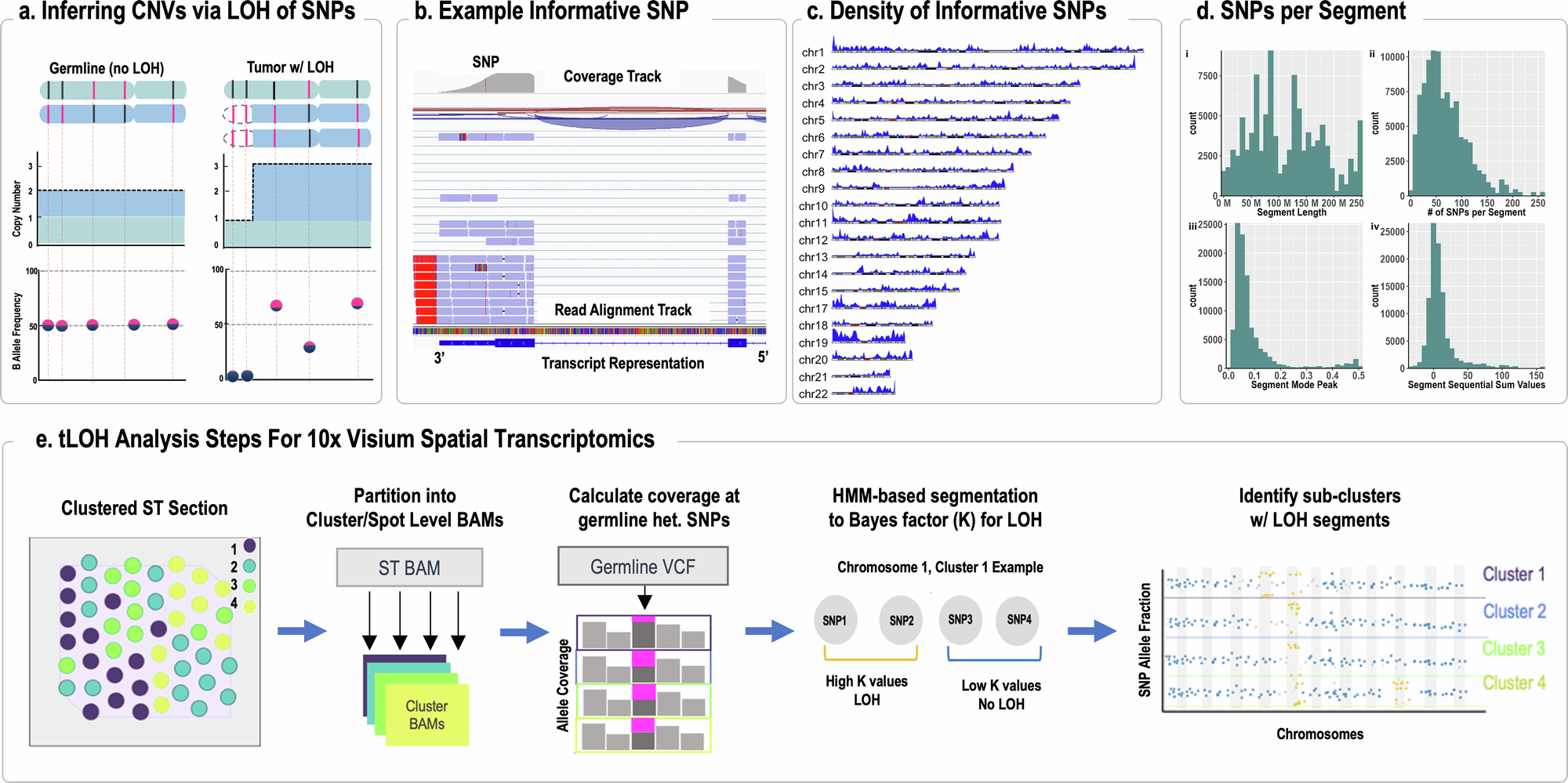 Fig. 3: Loss of heterozygosity analysis workflow.