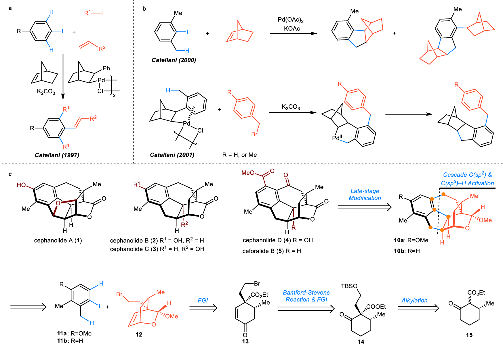 Fig. 2: C(sp2) & C(sp3)–H activation and retrosynthetic analysis of benzenoid cephalotane-type diterpenoids.