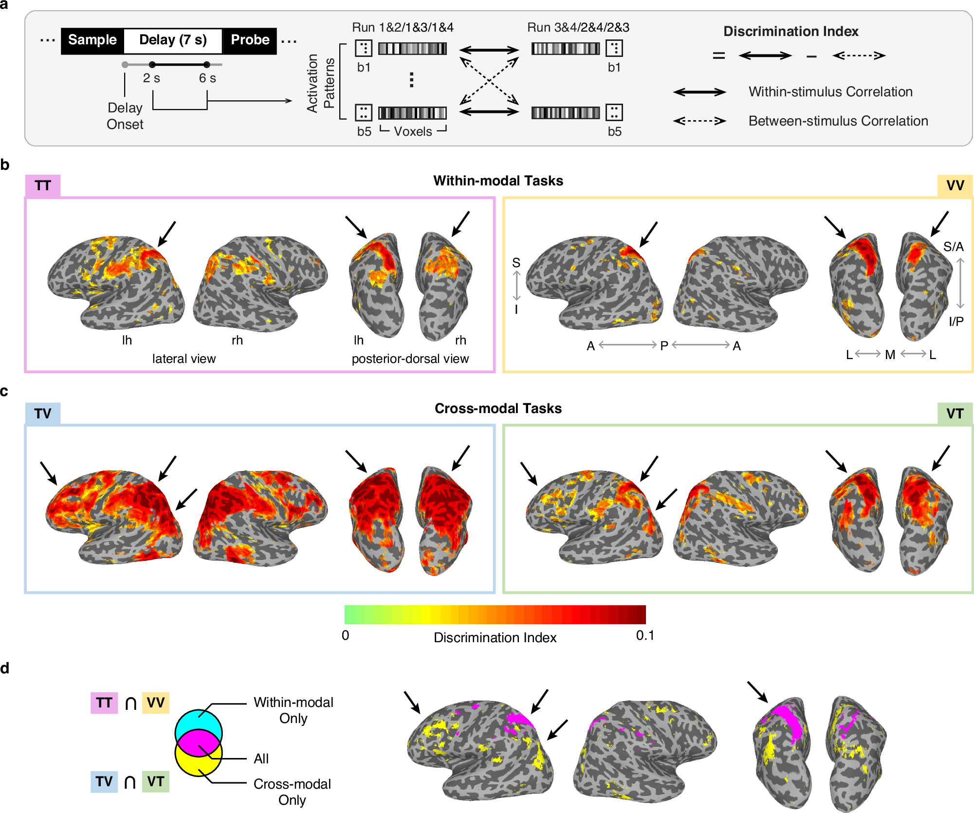Fig. 2: The maintenance of individual braille pattern information during the delay period of each working memory task.