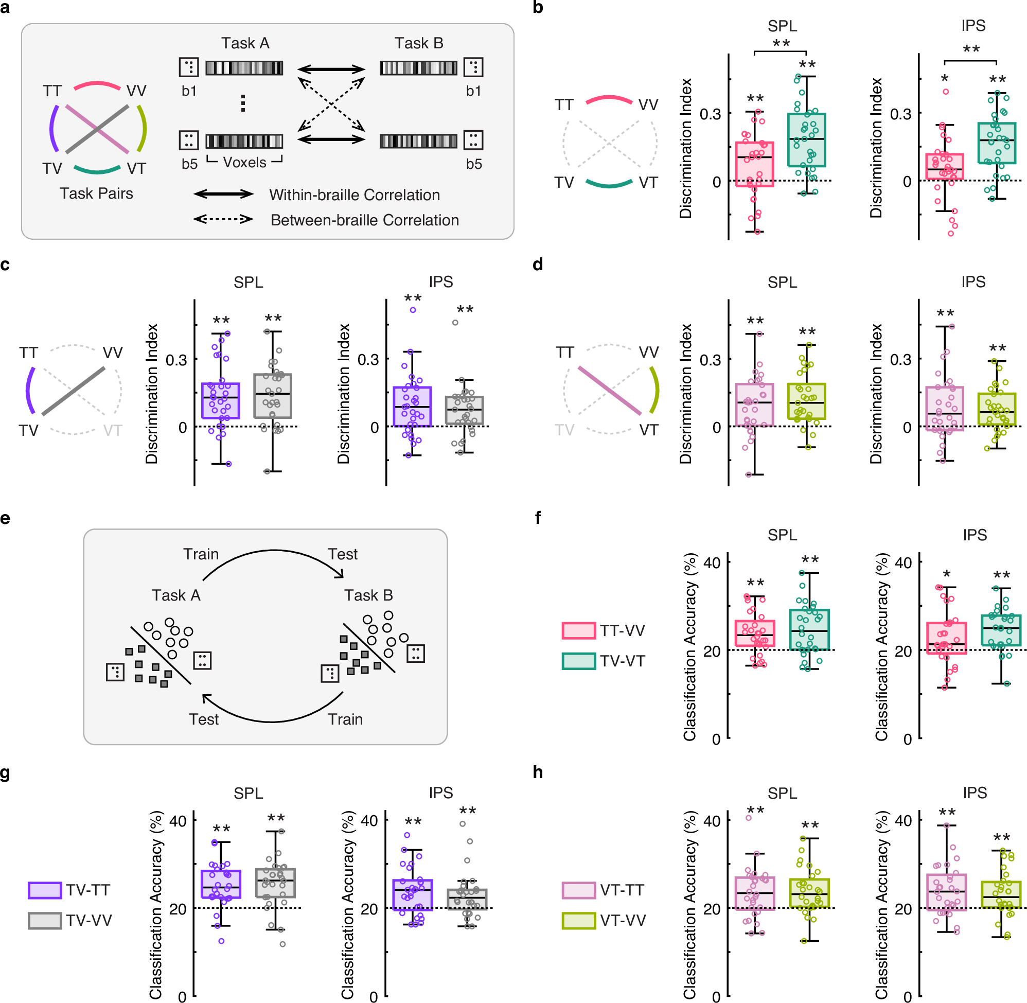 Fig. 4: Supramodal common representations of working memory in the superior parietal cortex.