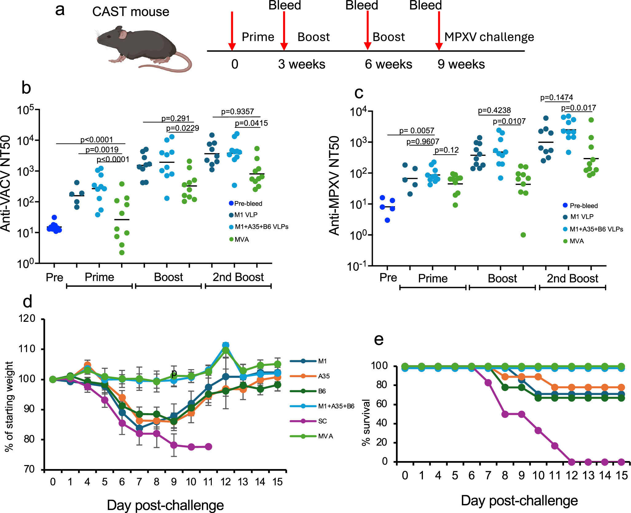 Fig. 3: Vaccine-induced antibodies and protection of CAST mice against a lethal MPXV challenge.