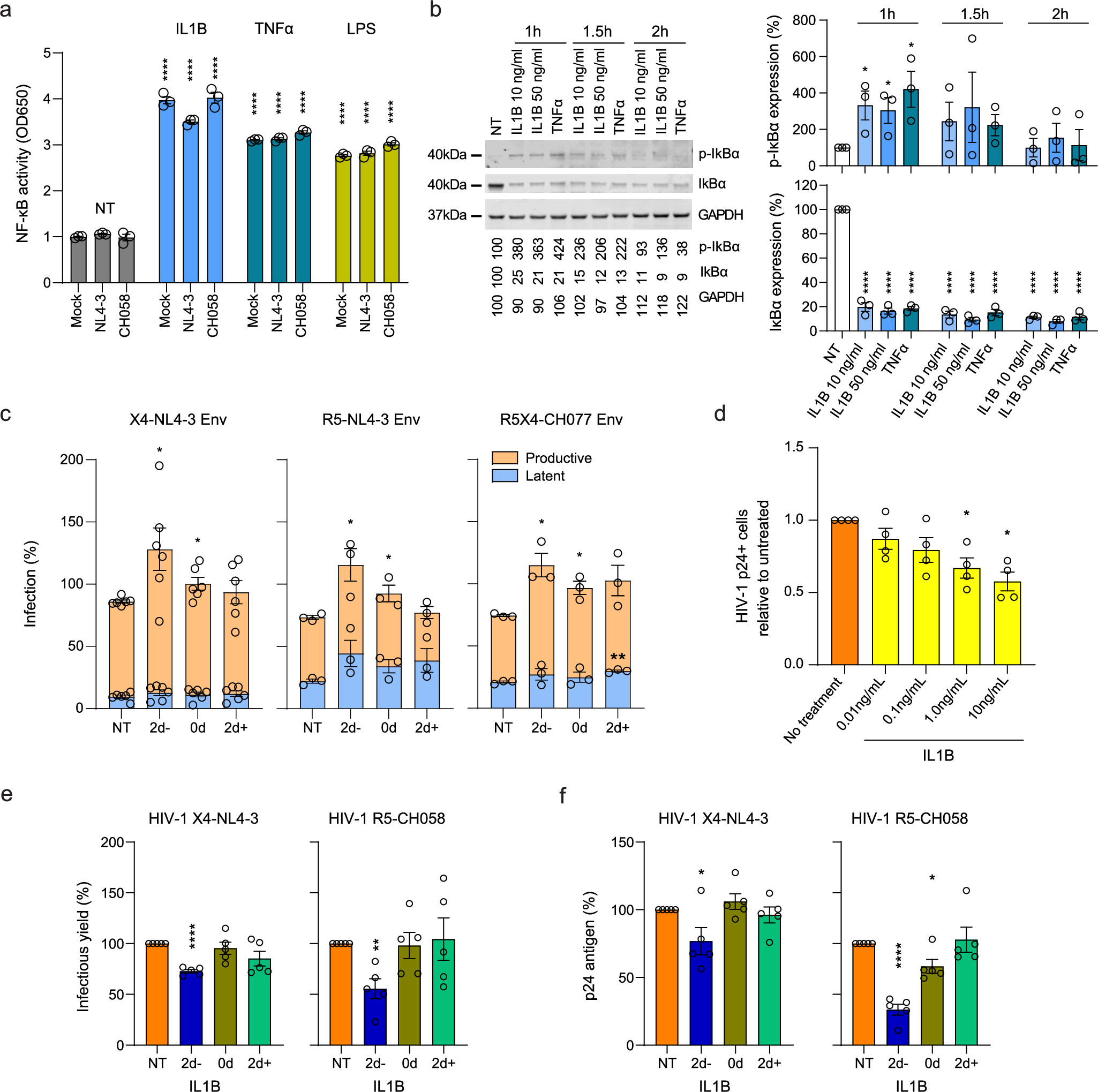 Fig. 5: In vitro IL1B activated NF-κB, increased HIV proviral transcription, and inhibited spreading infection.