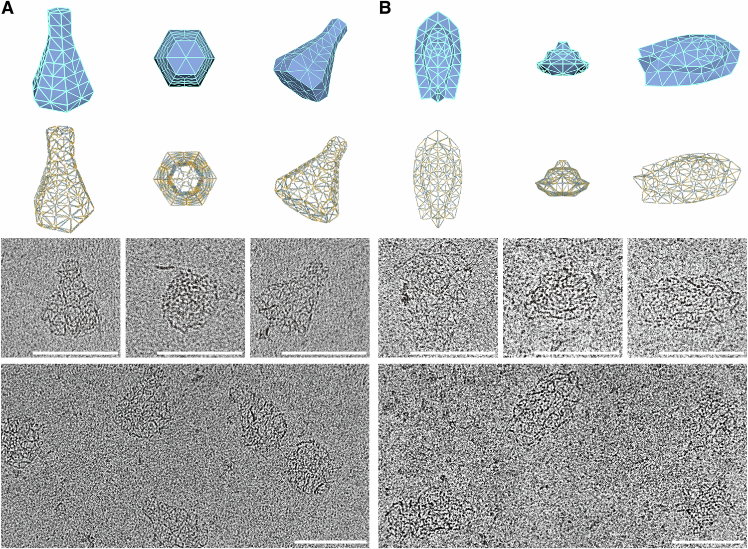 Fig. 3: Design and assembly of 3D spherical wireframe structures.