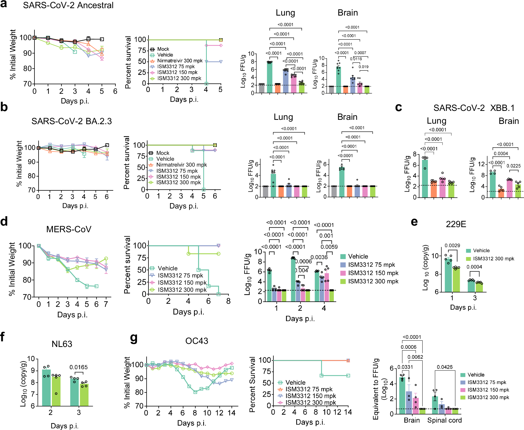 Fig. 5: Therapeutic postexposure administration of ISM3312 against SARS-CoV-2 variants and various human coronaviruses in vivo.