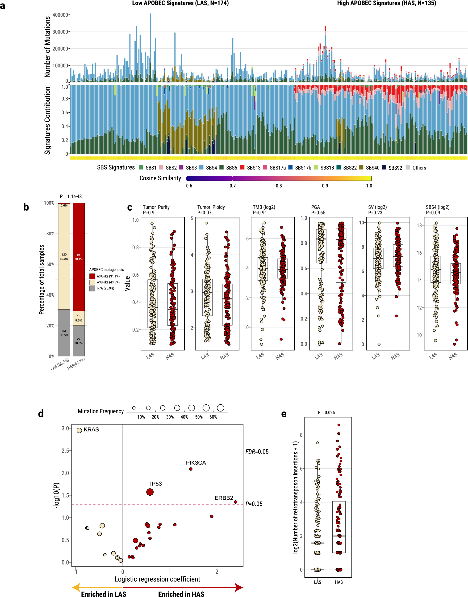 Fig. 1: Genomic classification and characterization of lung cancer in smokers based on mutational signatures analyses.