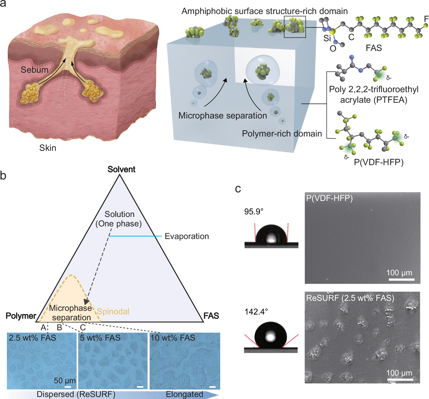水質モニタリング用の新素材を開発（NUS researchers develop novel material for water quality monitoring device）