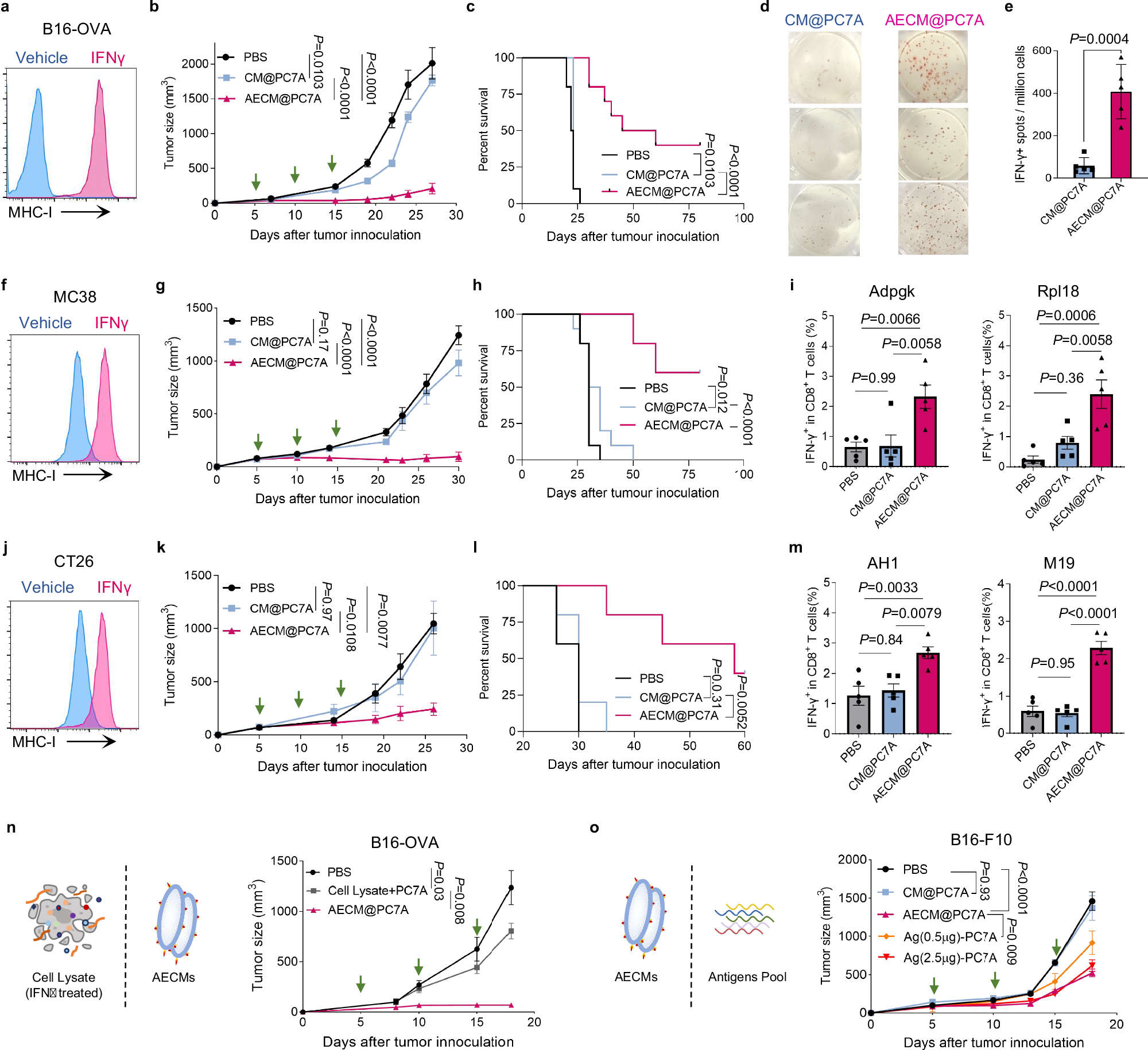 Fig. 3: Anti-tumour efficacies of AECM@PC7A in multiple tumour models.