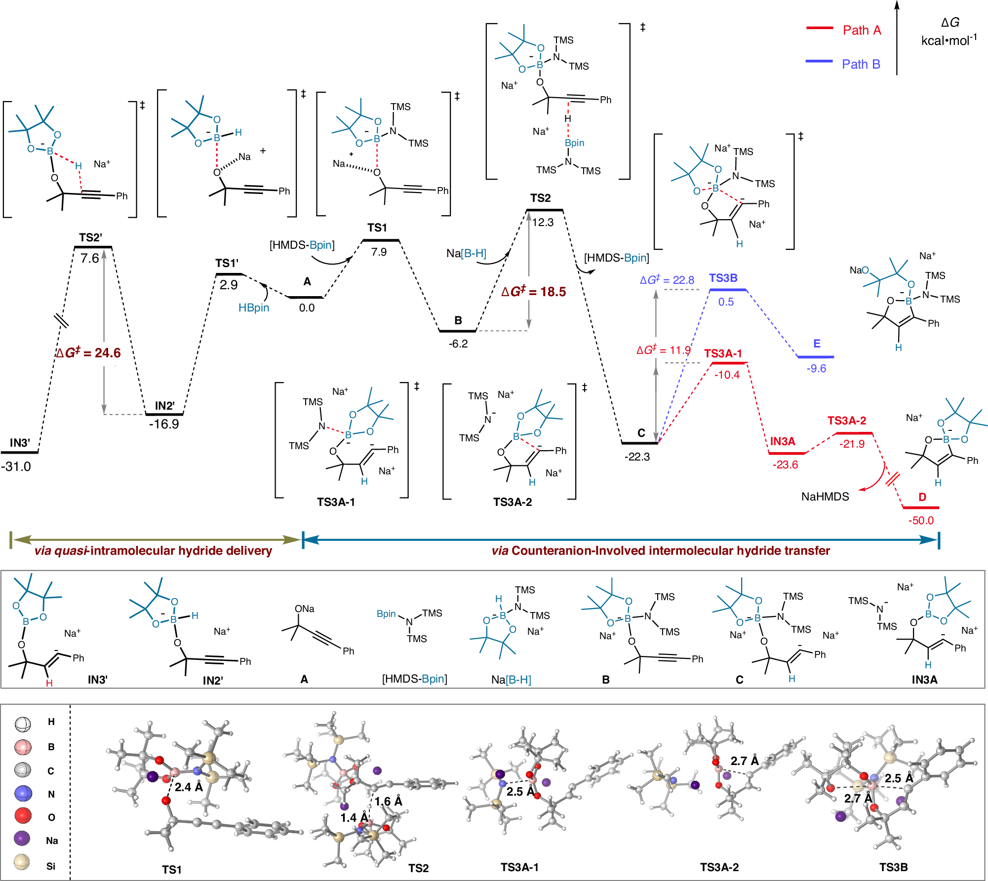 Fig. 8: Computational mechanistic study on the plausible mechanism.