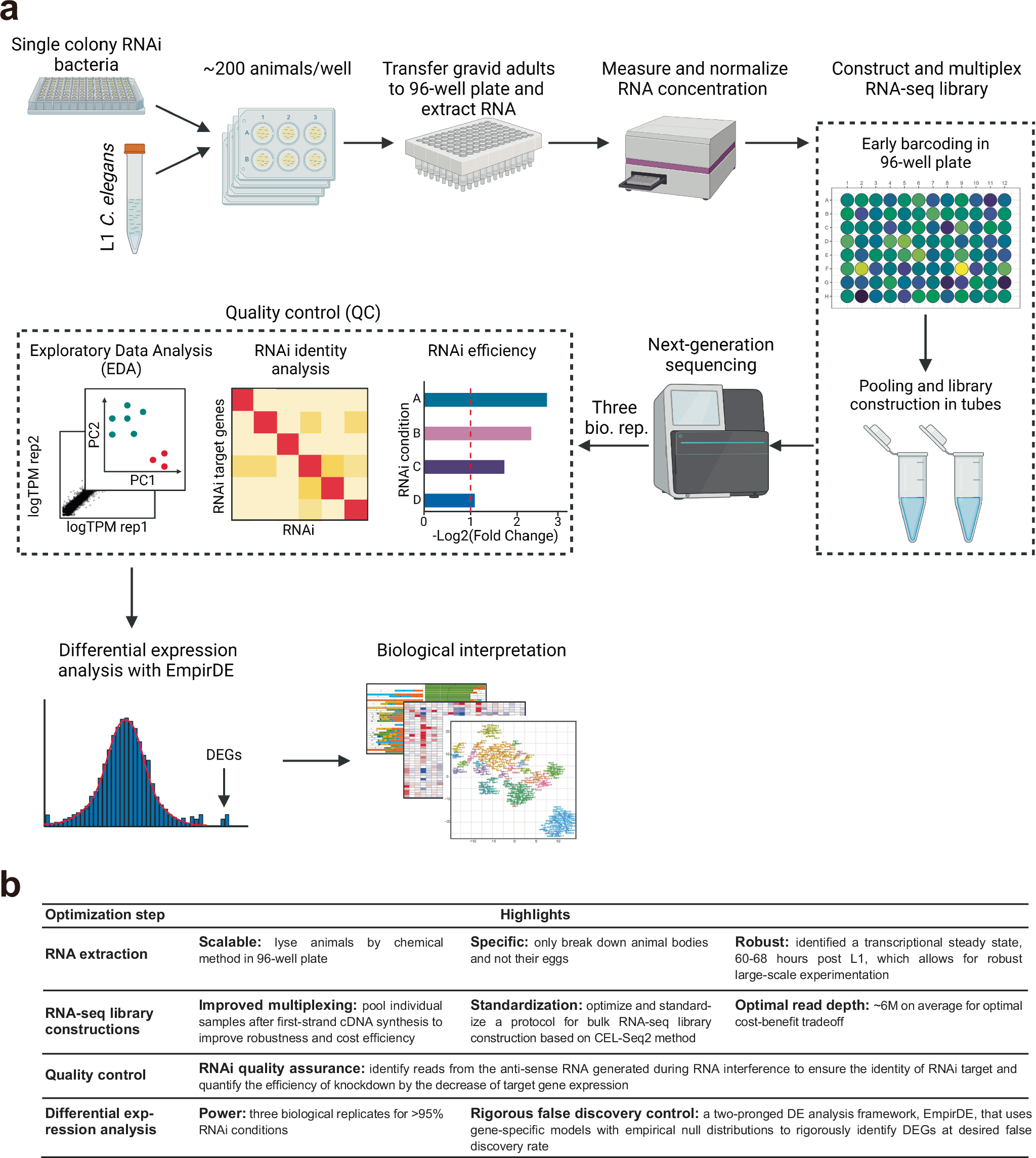 Fig. 1: Worm Perturb-Seq (WPS) overview.