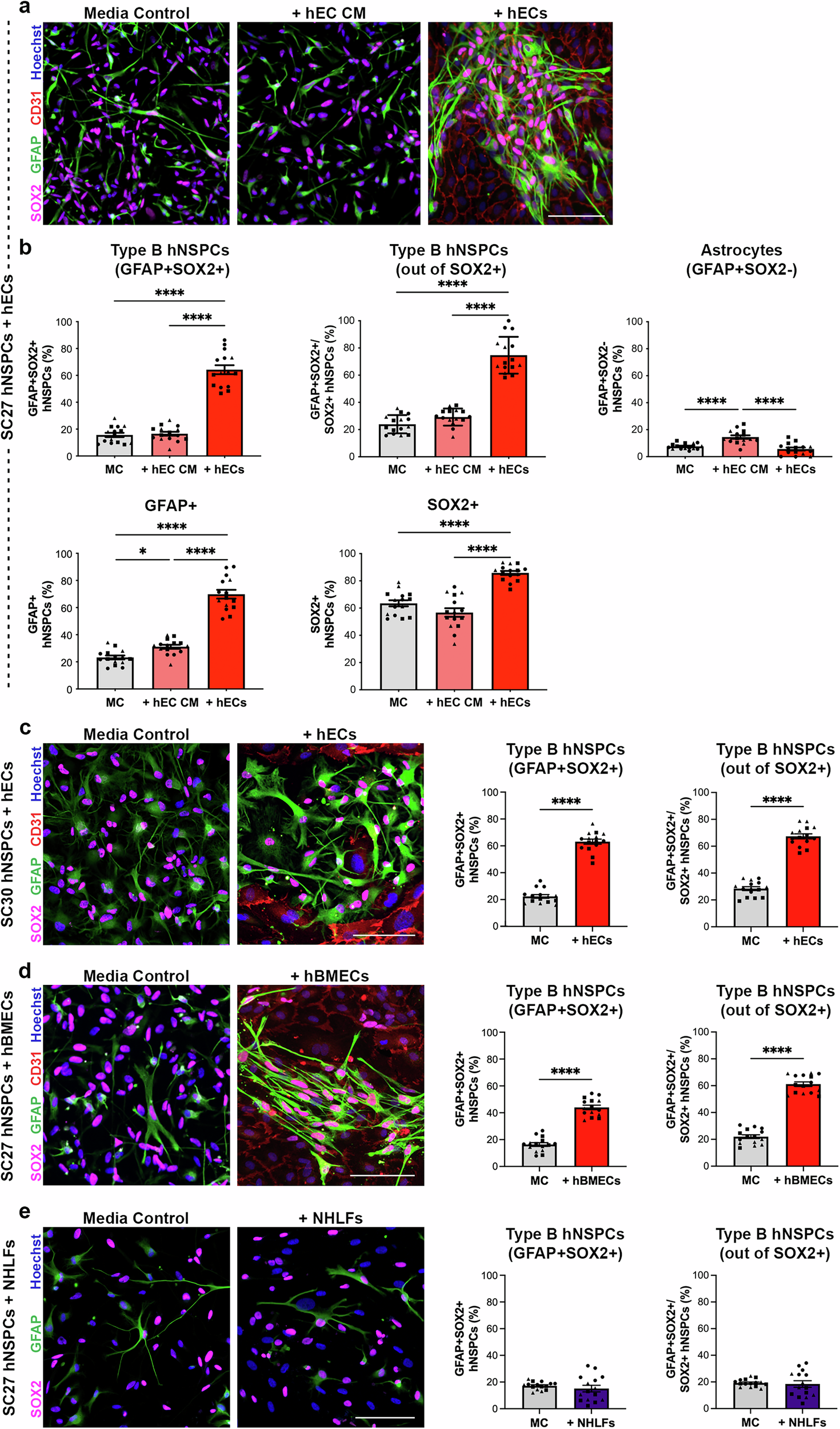 TCAP Science Review Standard 507.1.1 and 507.1.2, Cells | Mrs. Davis' 5th  Grade Science and Social Studies, image size:1470x2500