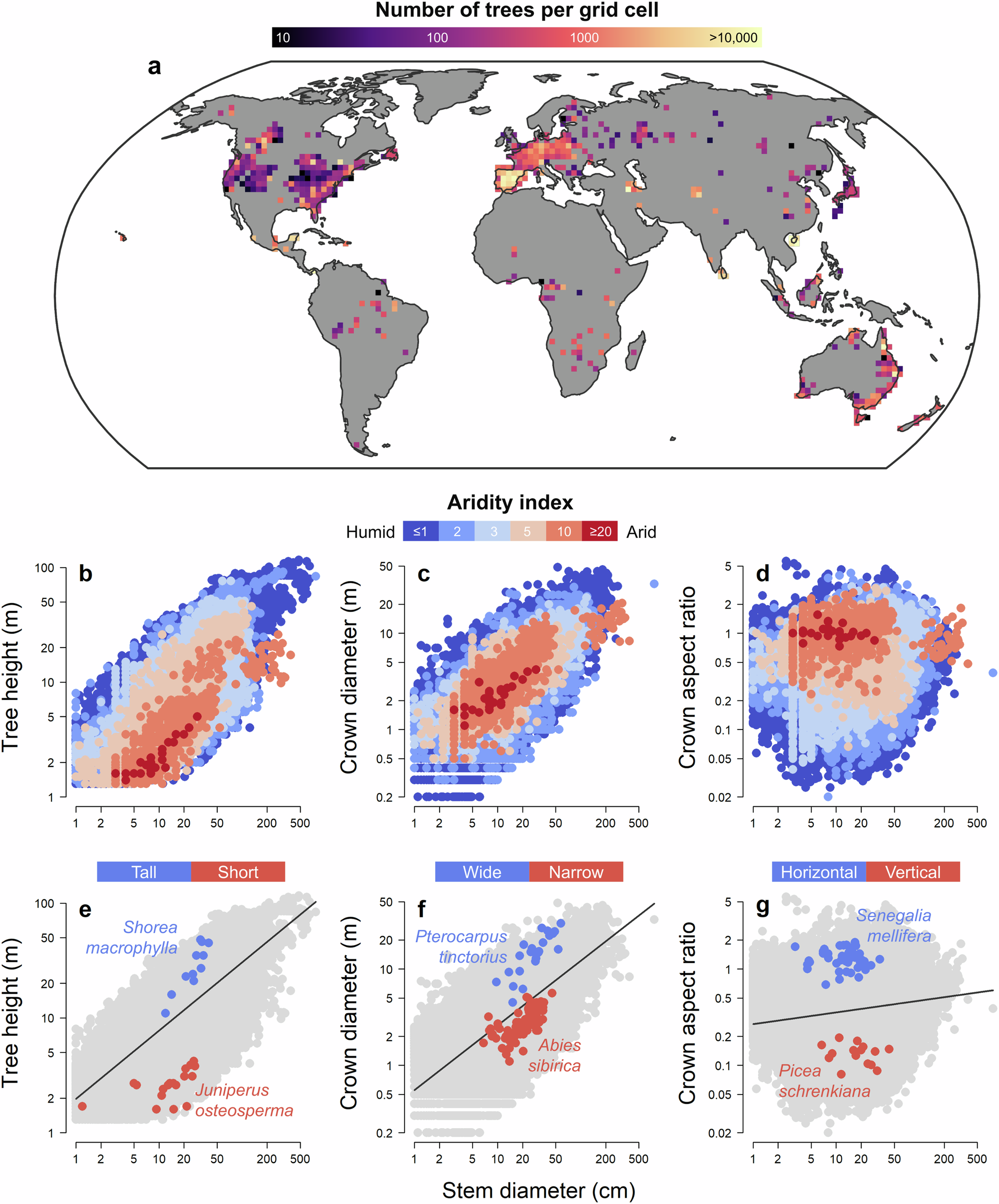 Fig. 1: Overview of the global tree allometry database.