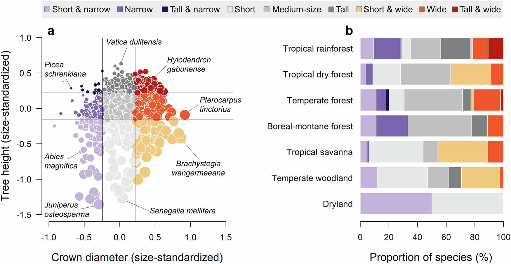 Fig. 2: Global spectrum of tree crown architecture.