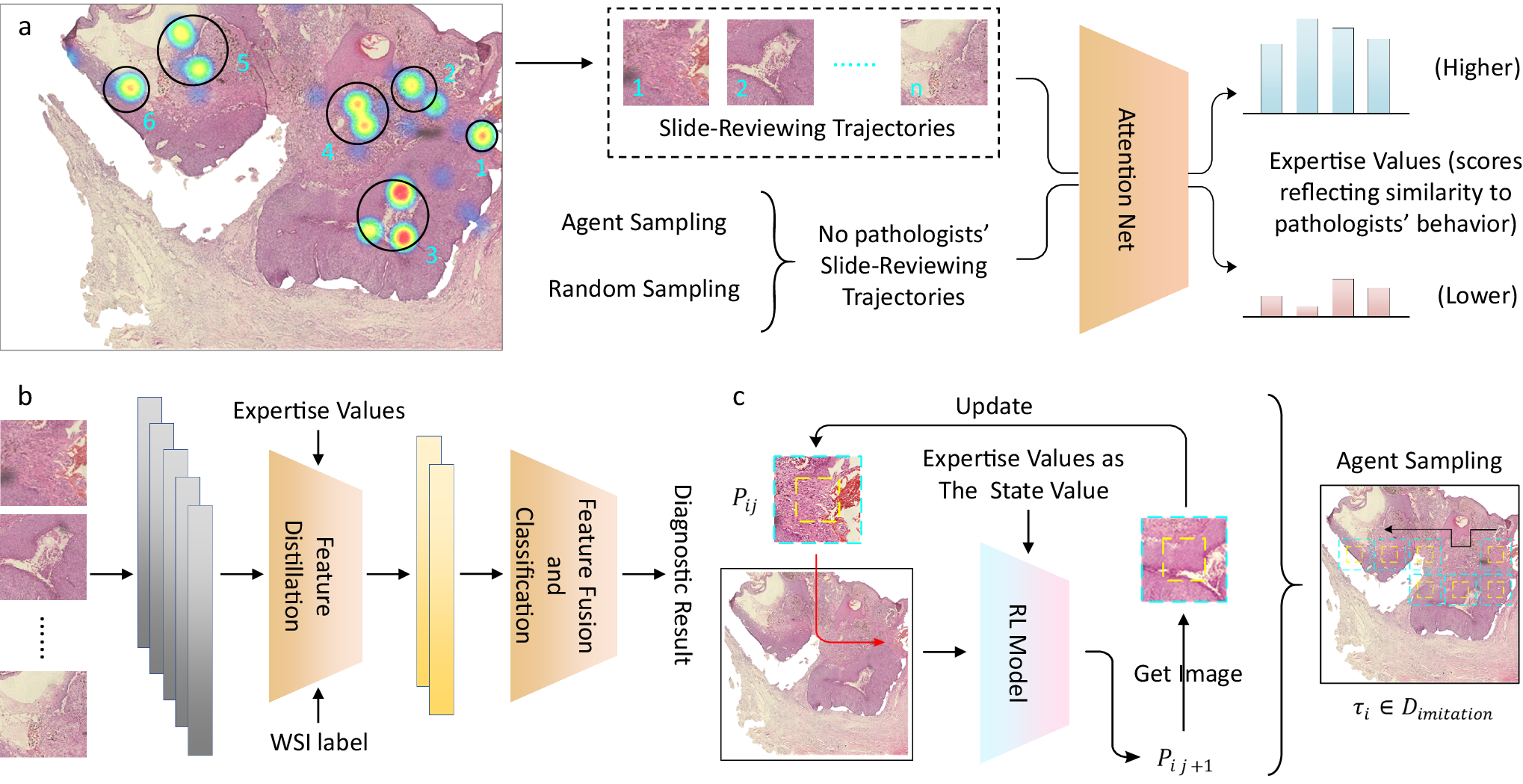 Fig. 4: Model details of the three-part PEAN.