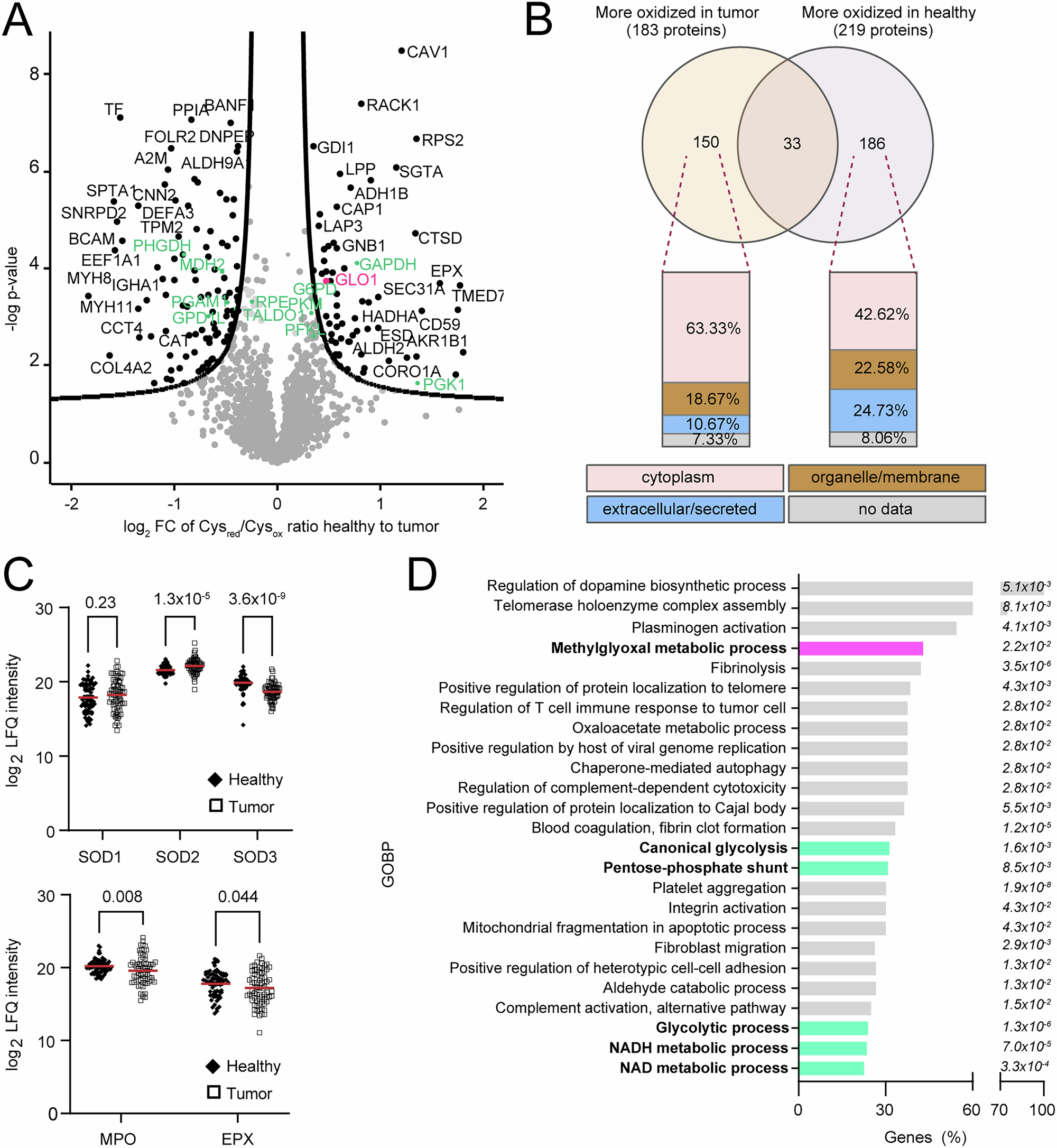 Fig. 1: Redox proteomics of lung tumor and tumor-adjacent healthy tissue reveals intra- and extracellular differences.