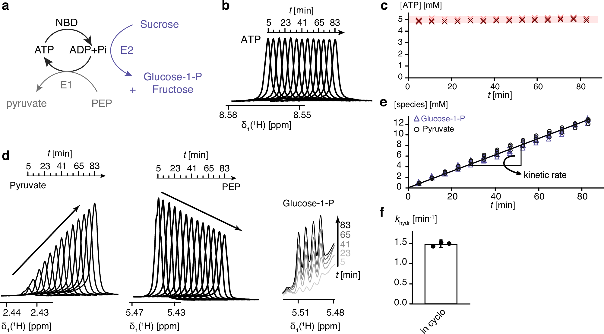 Fig. 3: Experimental setup for in-cyclo NMR with ATP regeneration and phosphate removal system.