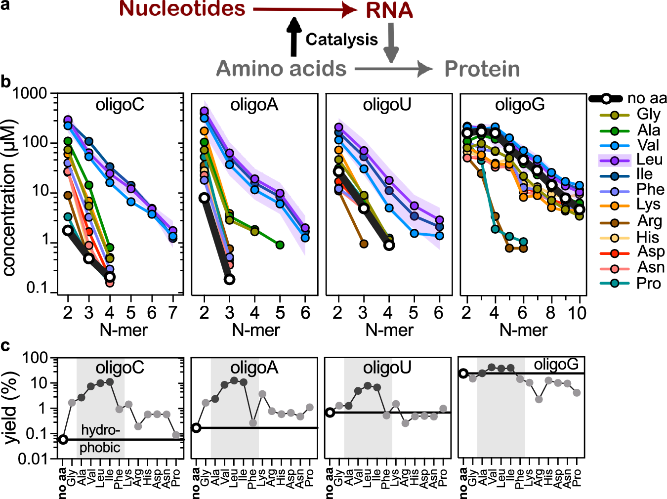 アミノ酸がRNAの起源に関与:新研究(Amino acids as catalysts in the emergence of RNA)