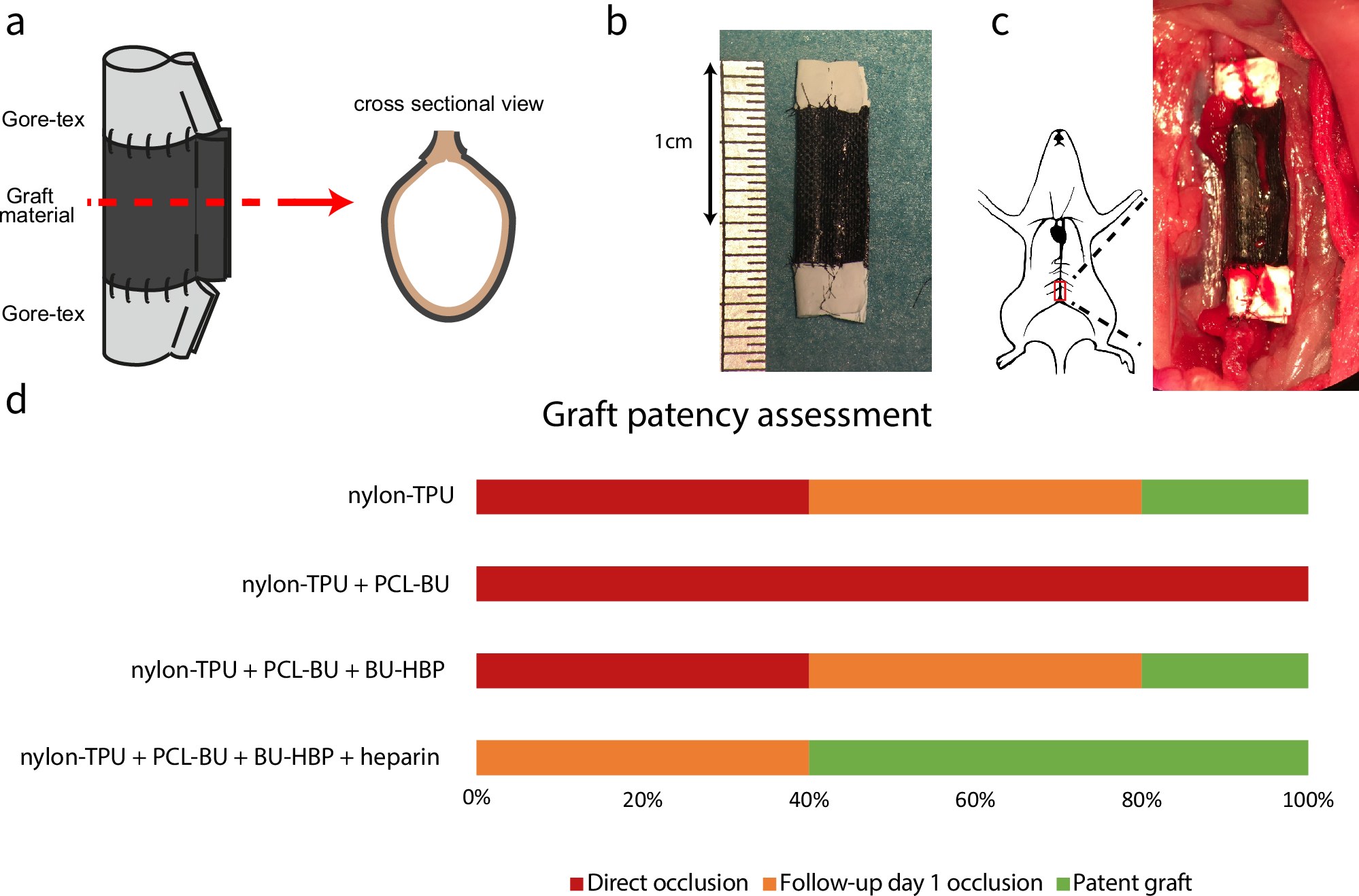 Fig. 6: Pre-clinical assessment of the grafts.