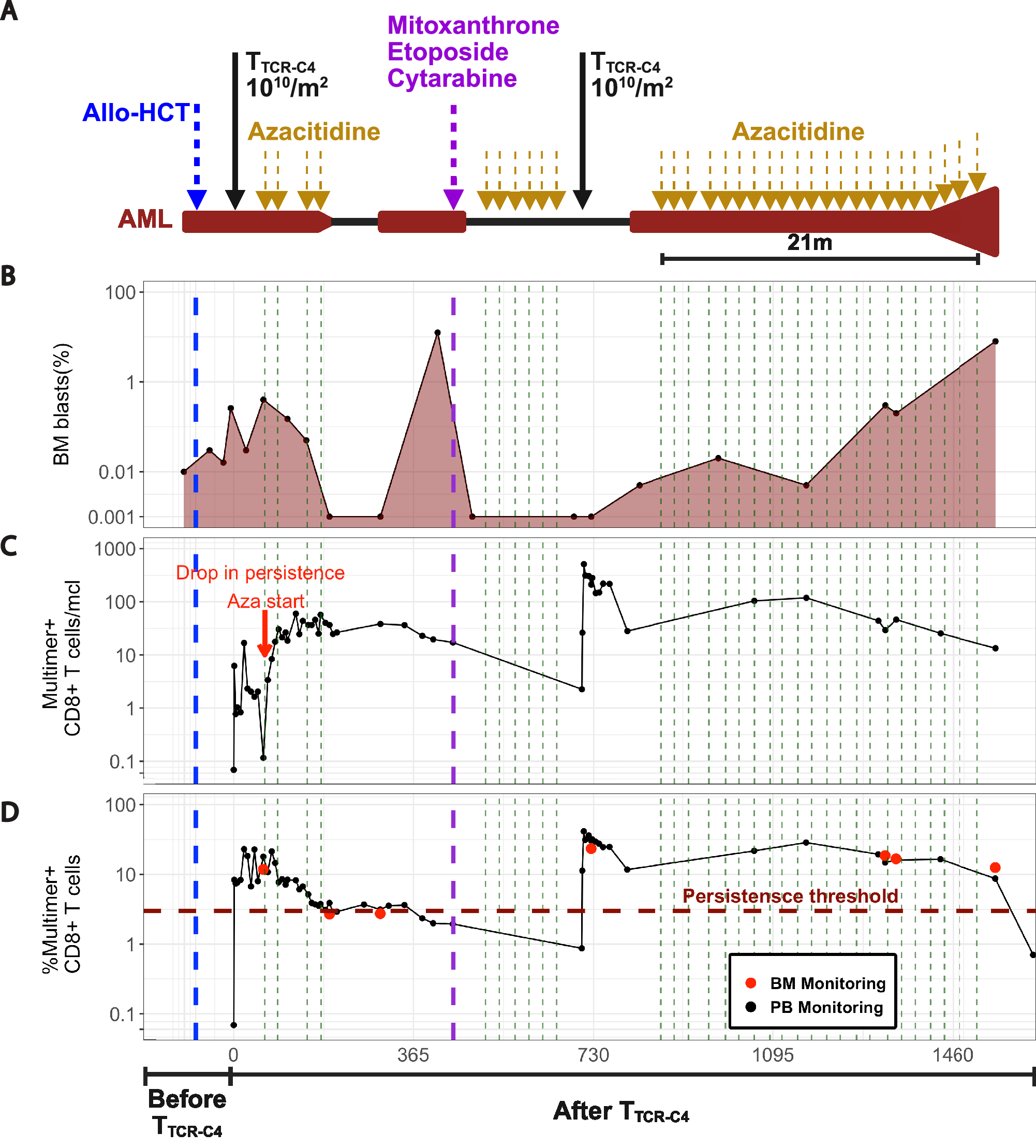 Fig. 6: Timeline and disease response in a patient with relapsed AML post-allogeneic HCT treated with TTCR-C4 and Azacitidine.