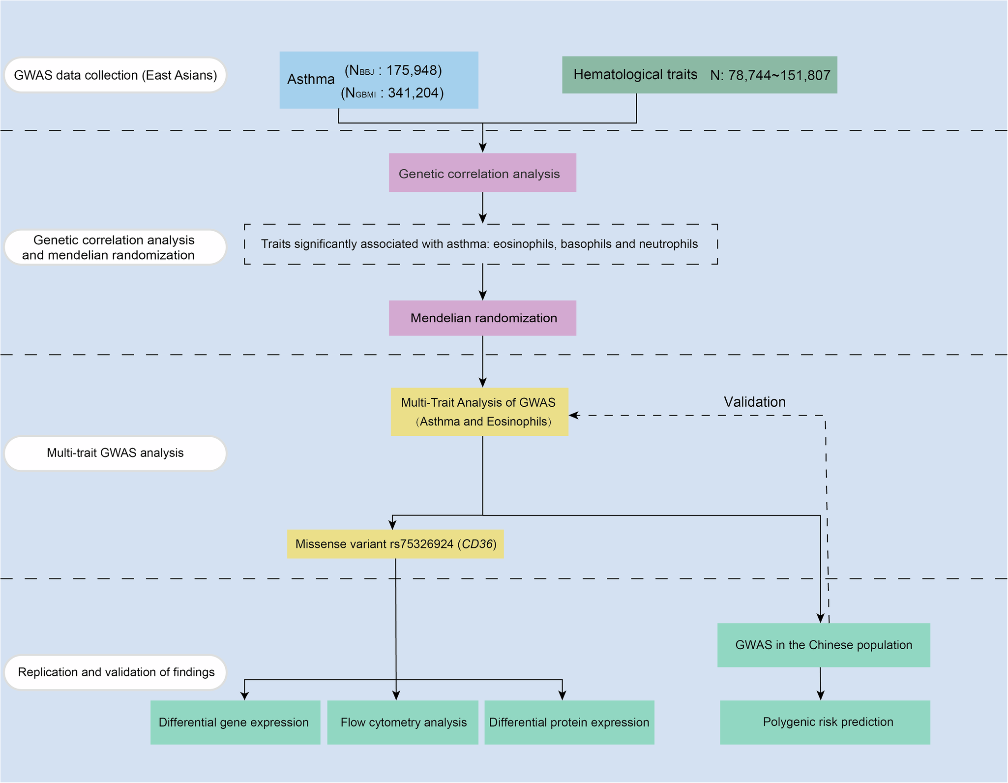 Multi-trait genetic analysis of asthma and eosinophils uncovers pleiotropic  loci in East Asians | Nature Communications