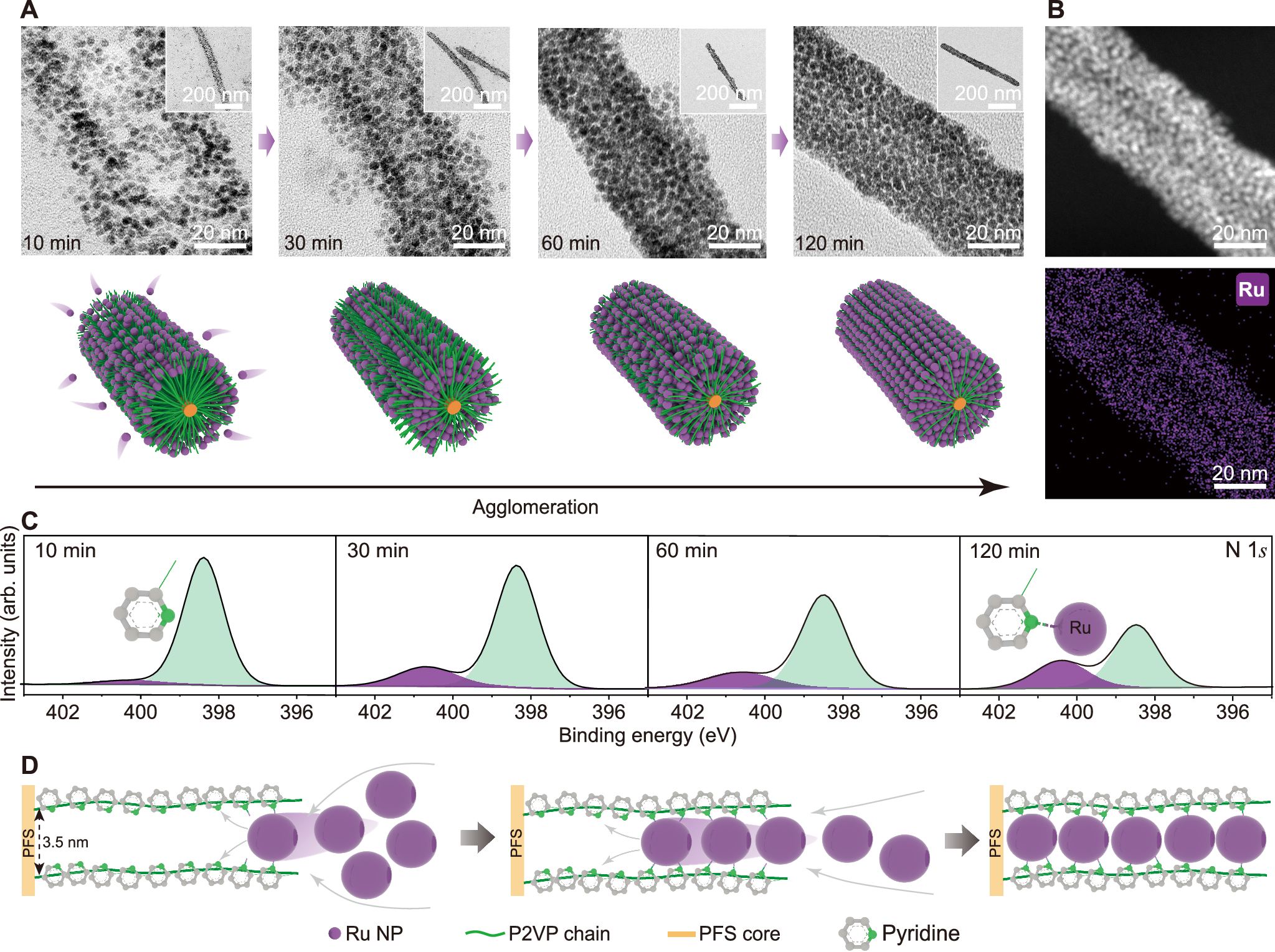 Fig. 1: Agglomeration of Ru NPs (3.3 nm) into nanowires.