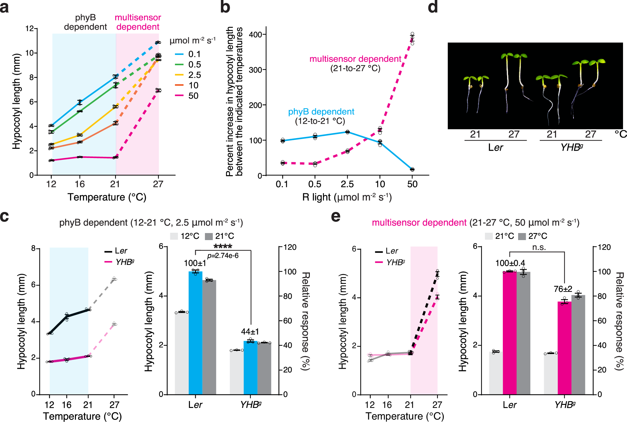 植物における糖の熱感知機構を解明(Sugar, the hidden thermostat in plants)