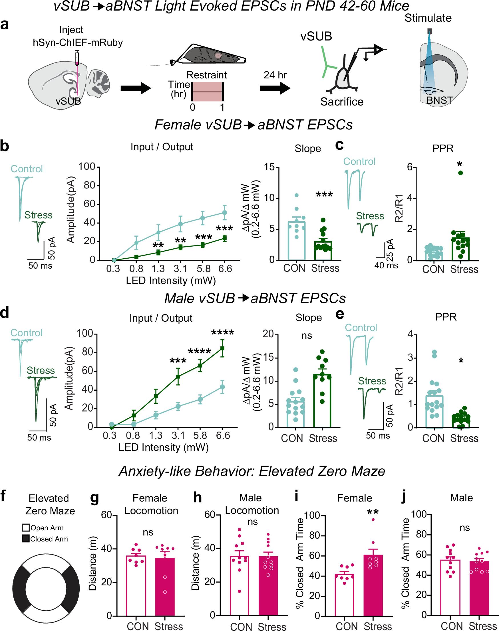 Fig. 6: Stress causes sex-specific changes to vSUB output to the anterior bed nucleus of the stria terminalis (aBNST) and anxiety-like behavior.
