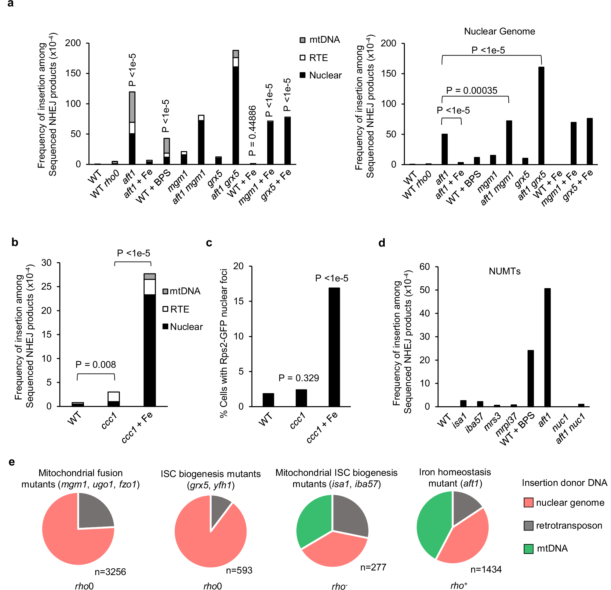 Fig. 5: Iron depletion or overload leads to templated insertions.