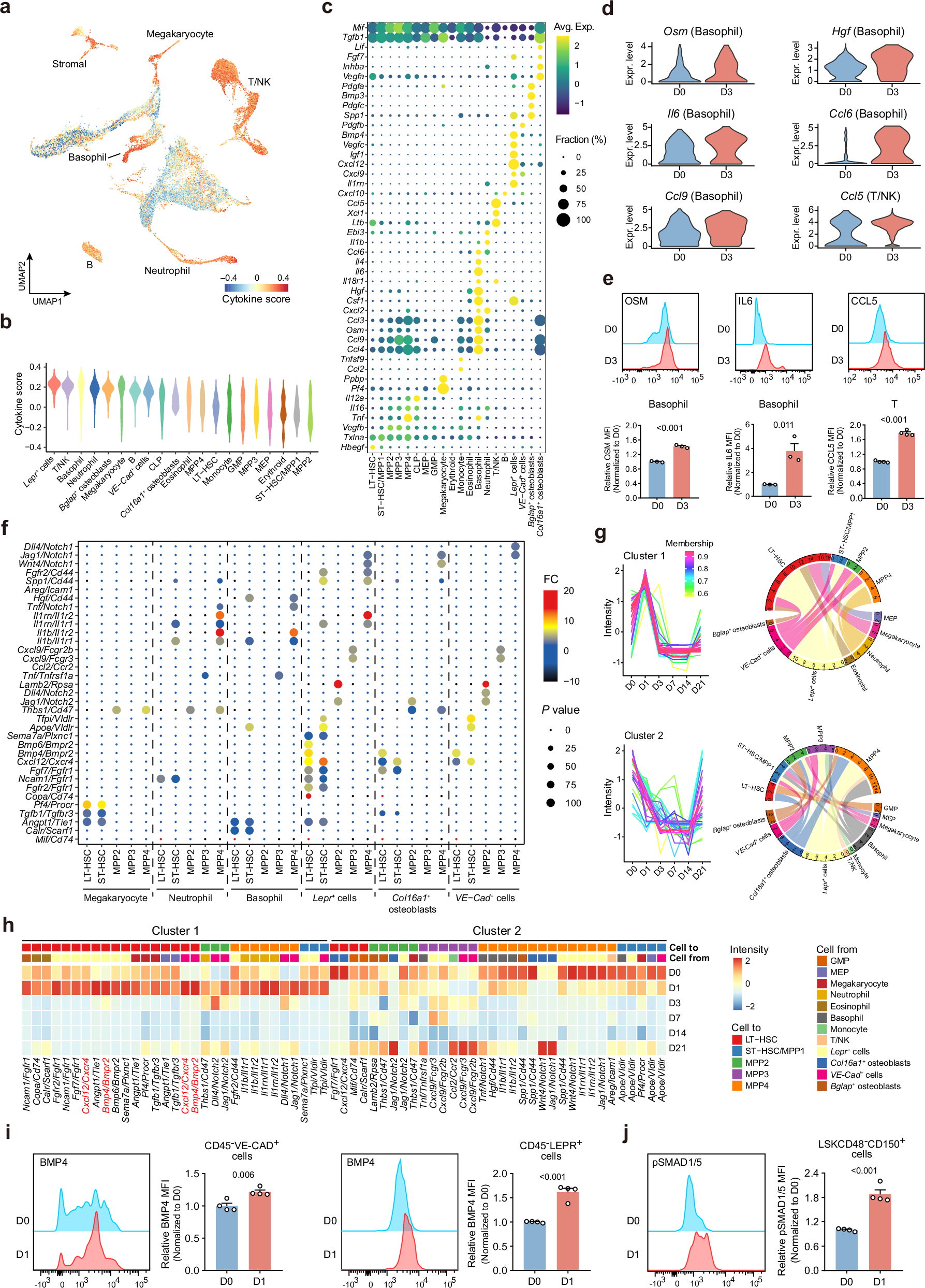 Fig. 3: Dynamic cell-cell communication patterns mediated by ligand-receptor interactions upon IR.