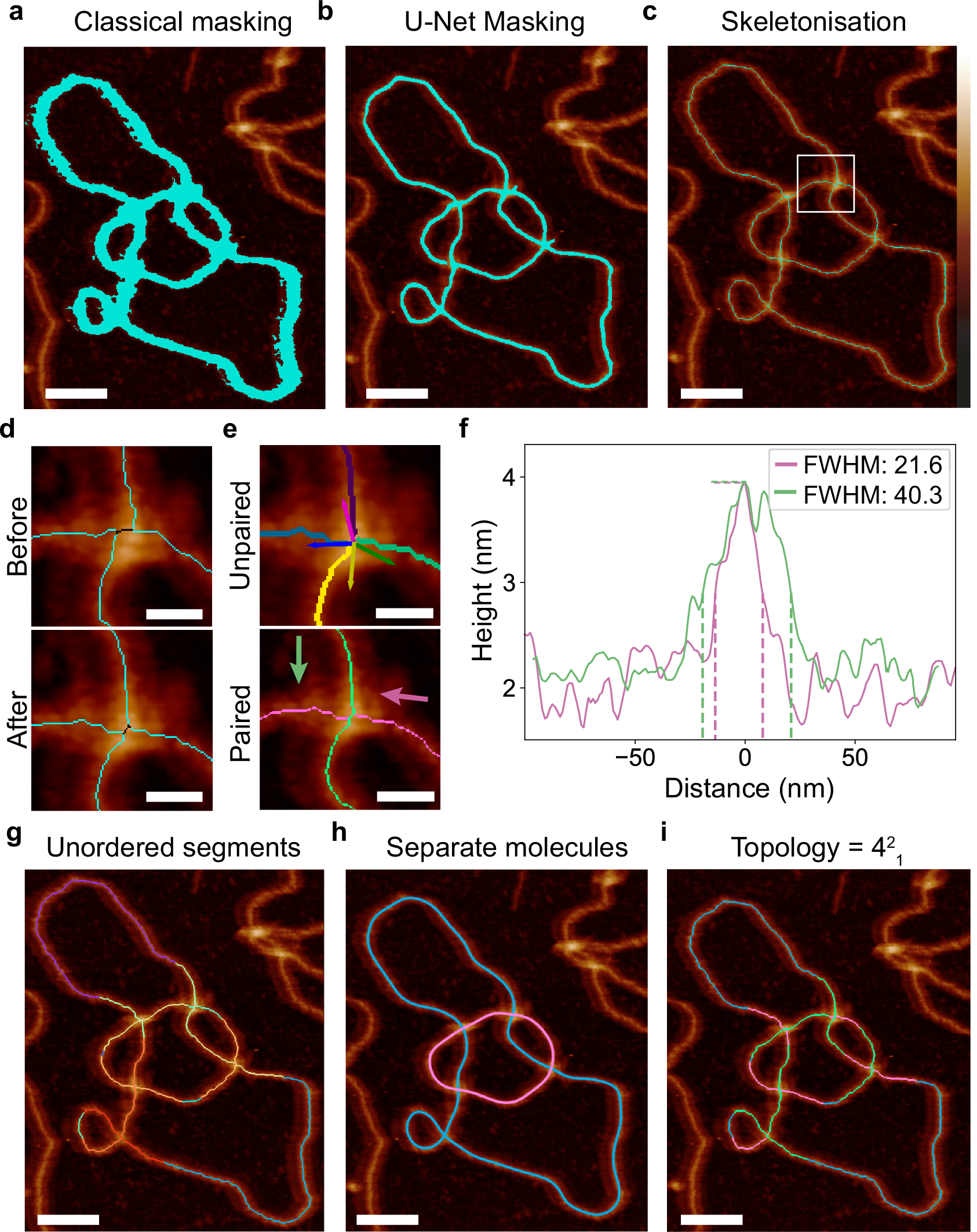 Fig. 2: Automated tracing and topological determination for complex DNA molecules from AFM images.