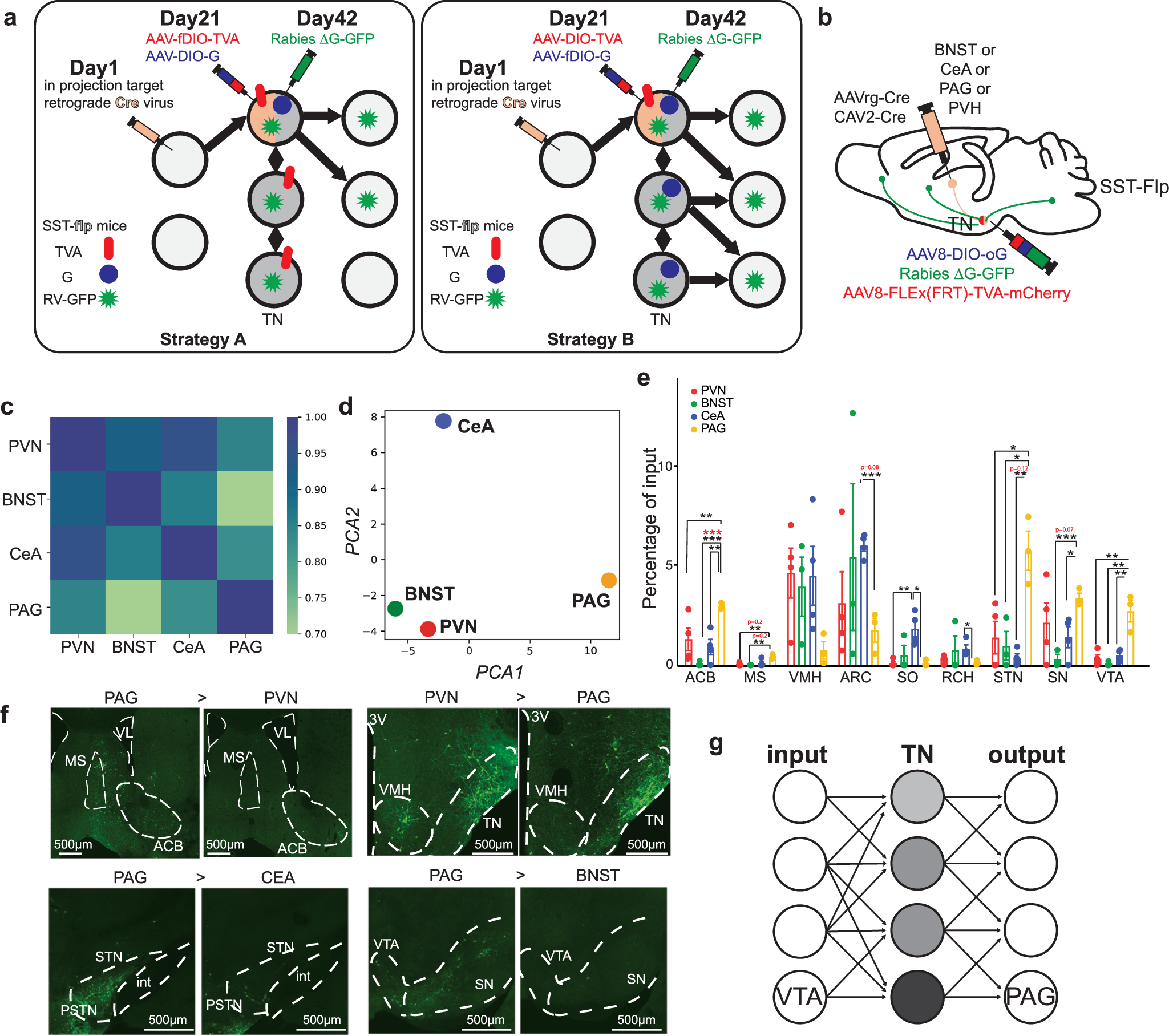 Fig. 4: Mapping and comparing inputs of TNSST neurons projecting to different brain regions.