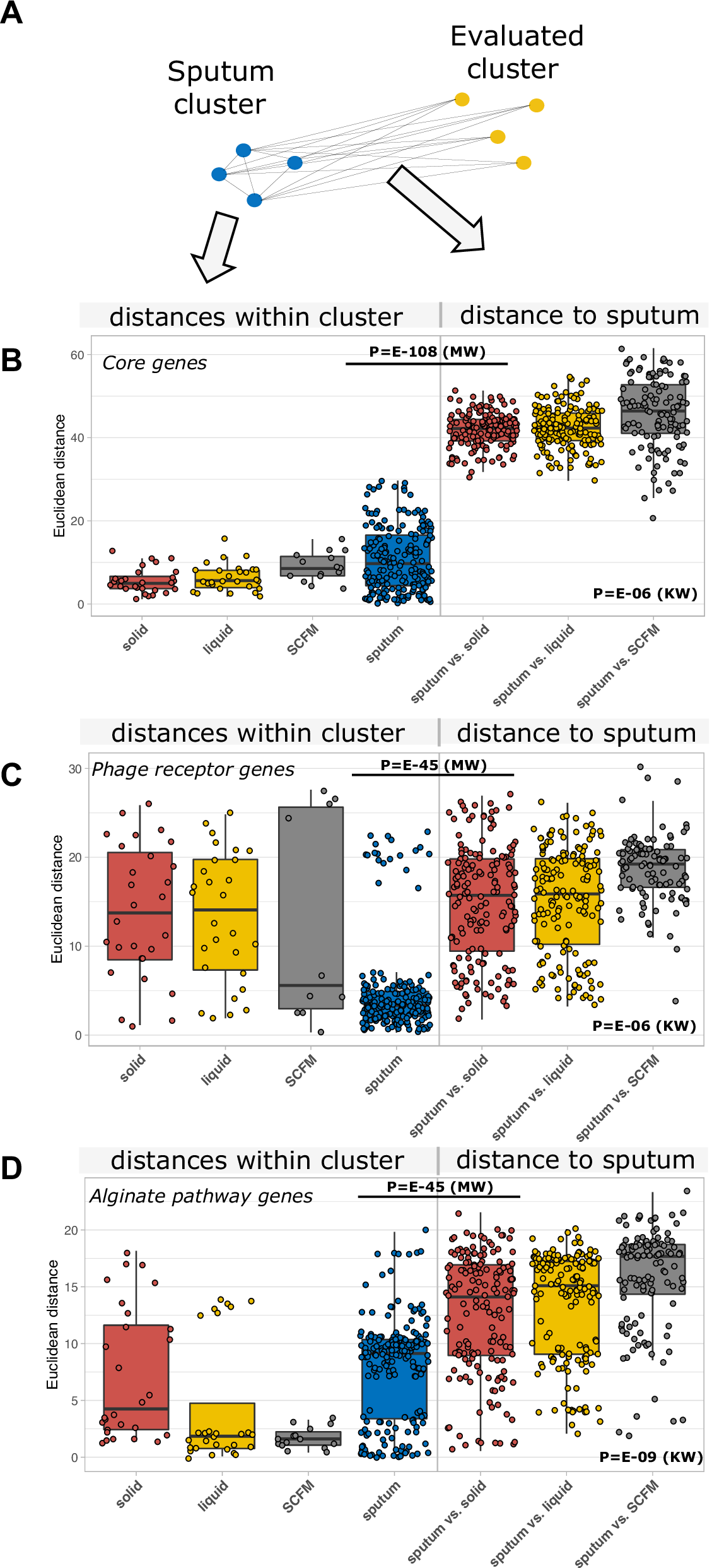 Fig. 2: P. aeruginosa transcriptomic profiling.