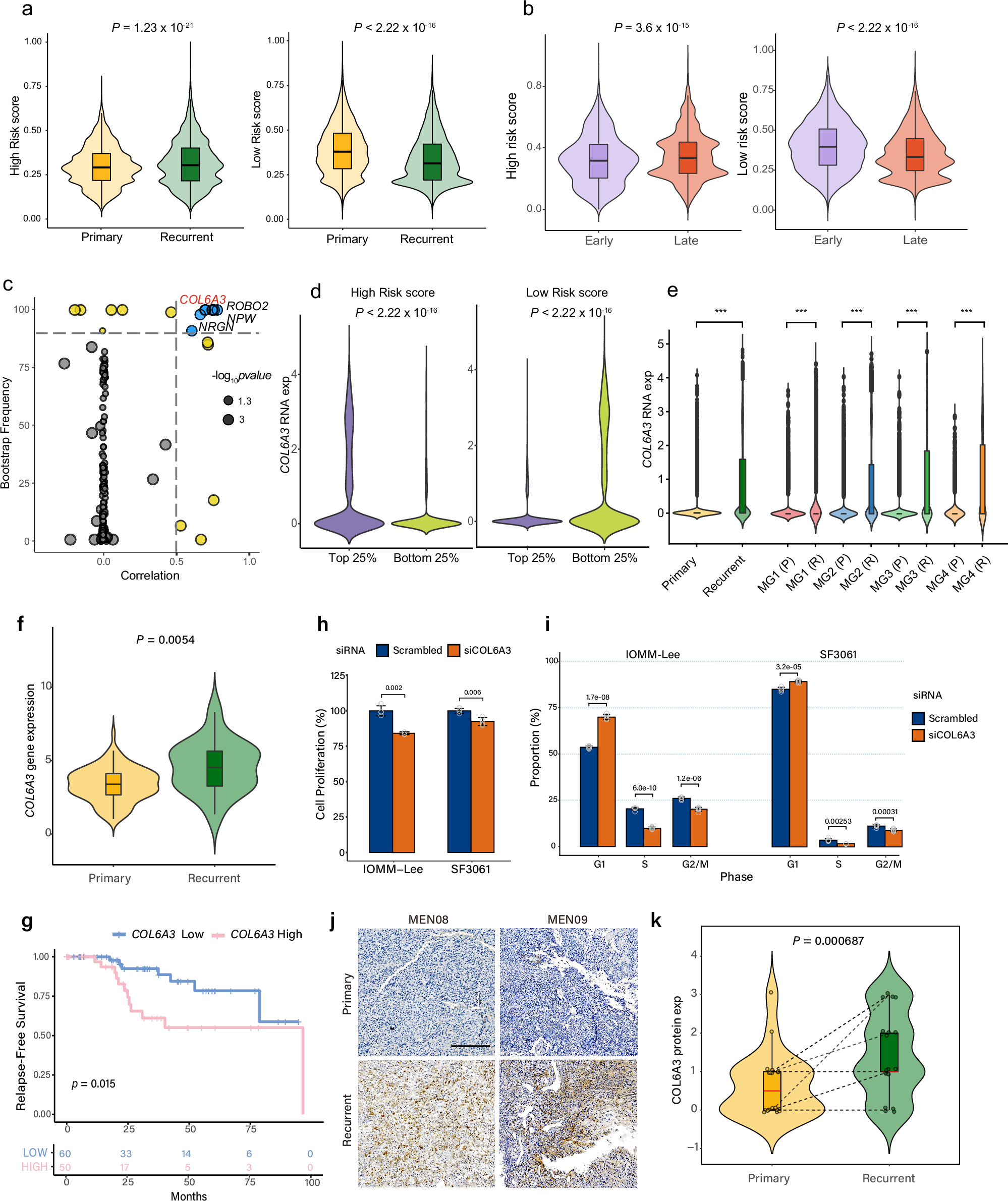 Fig. 3: Risk signature analysis of primary and recurrent tumor cells identified COL6A3 as a driver of risk vulnerability.