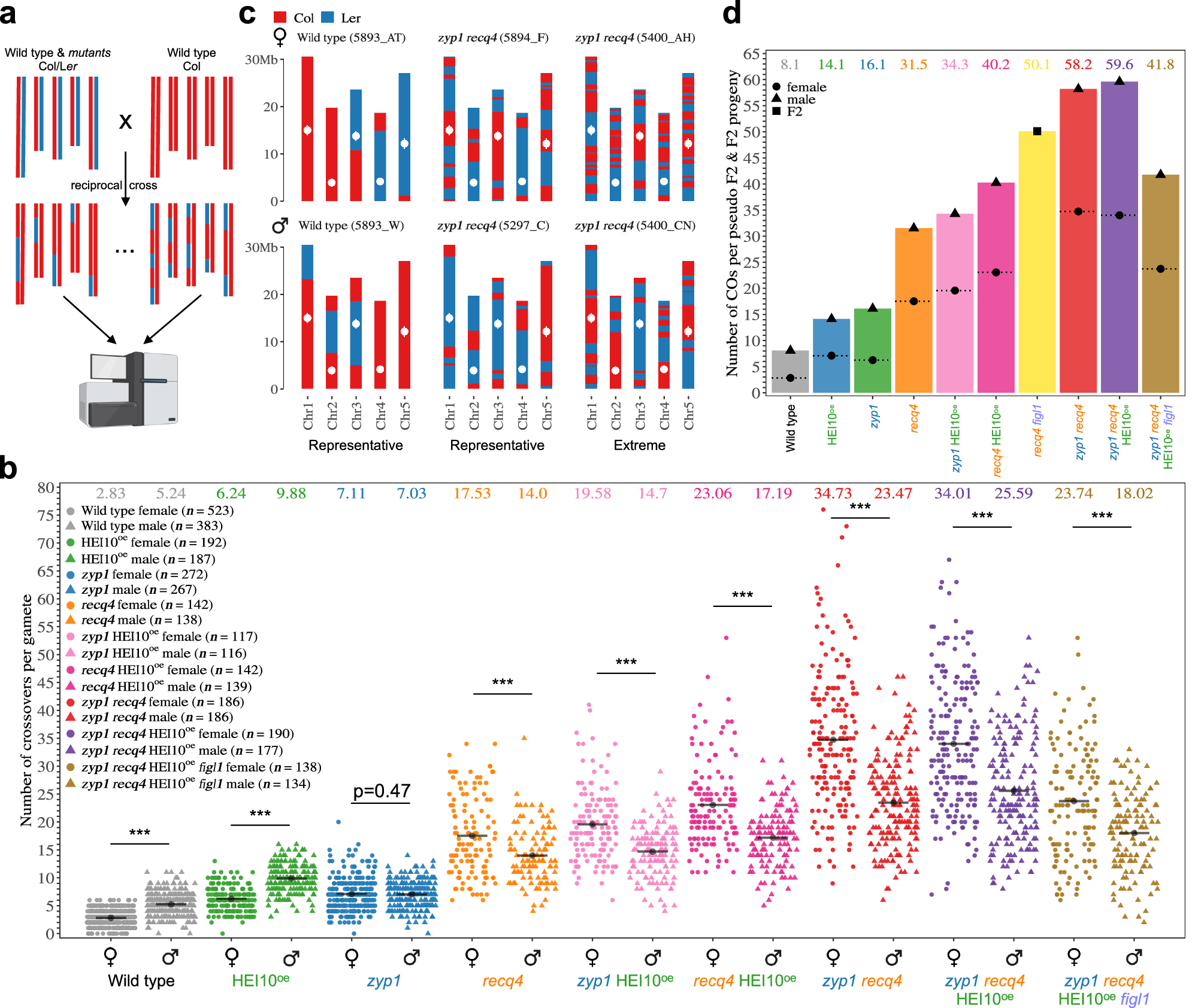 Prime Numbers Chart 1-200 (Free Printable PDF), image size:1990x1684