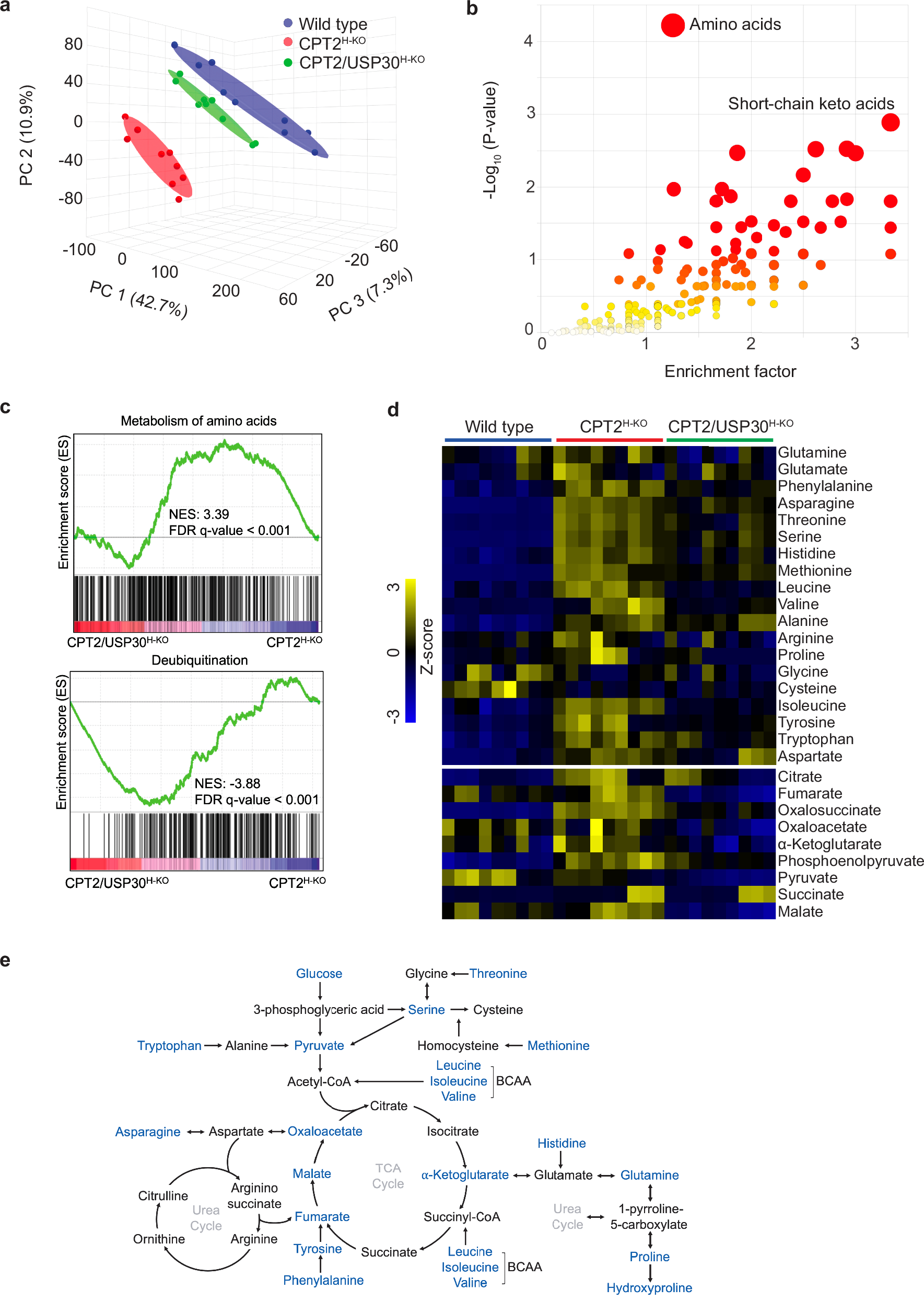 Fig. 6: Deletion of USP30 improves mitochondrial metabolism in FAO-deficient hearts.