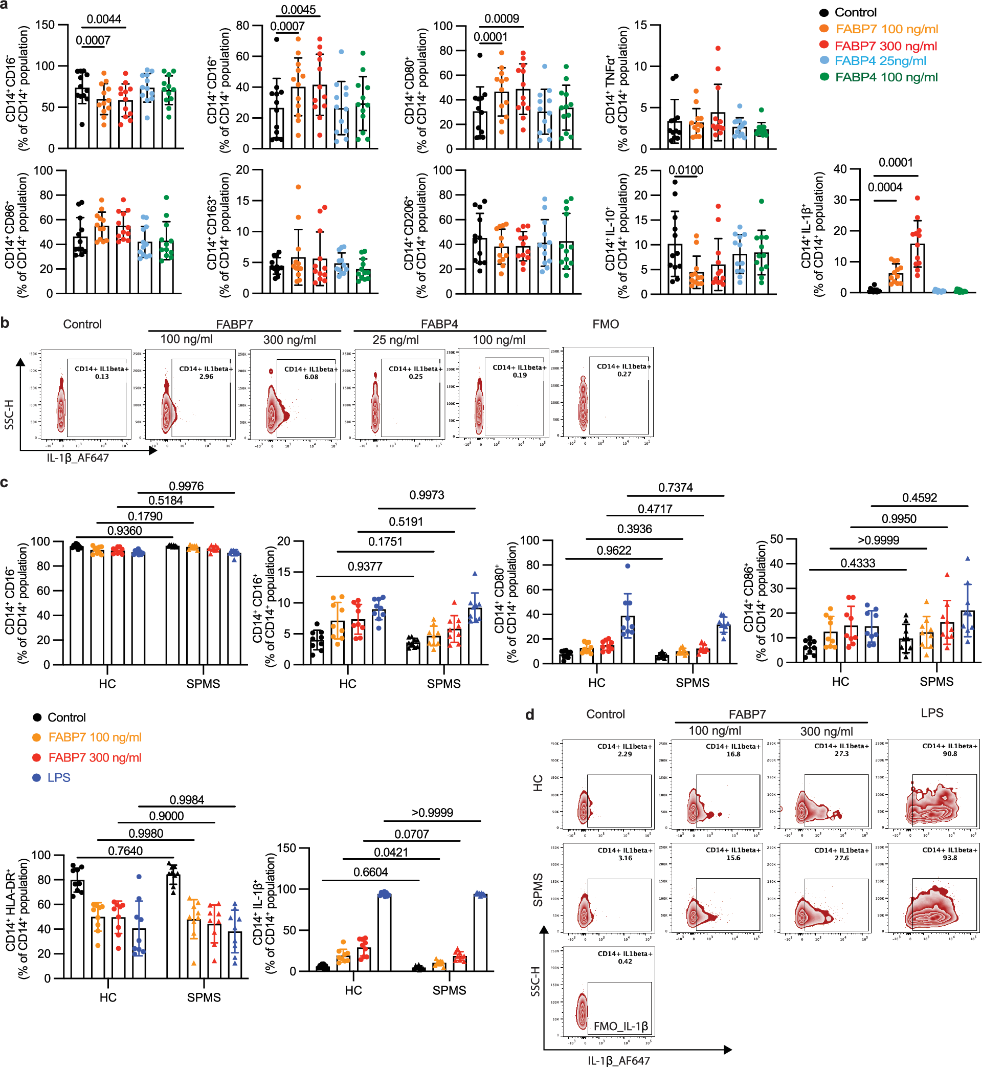 Fig. 2: FABP7 increased CD16, CD80 and IL-1β in monocytes.