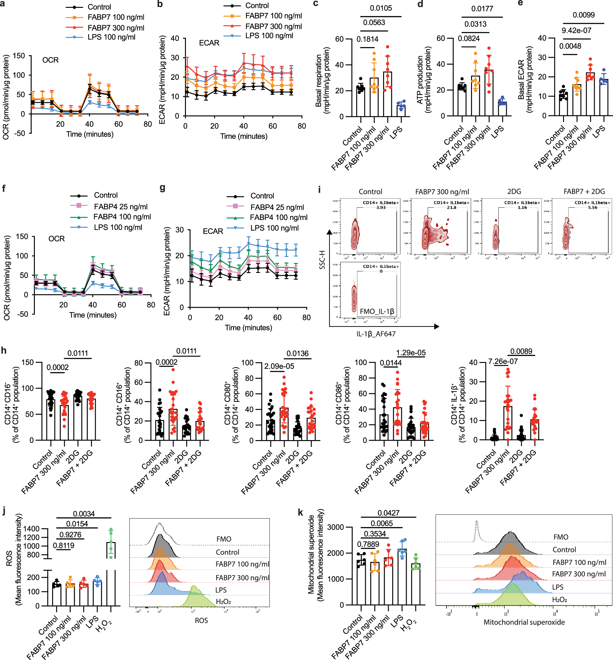 Fig. 3: FABP7 increased basal ECAR and inhibition of glycolysis by 2DG reduced the effect of FABP7 in monocytes.