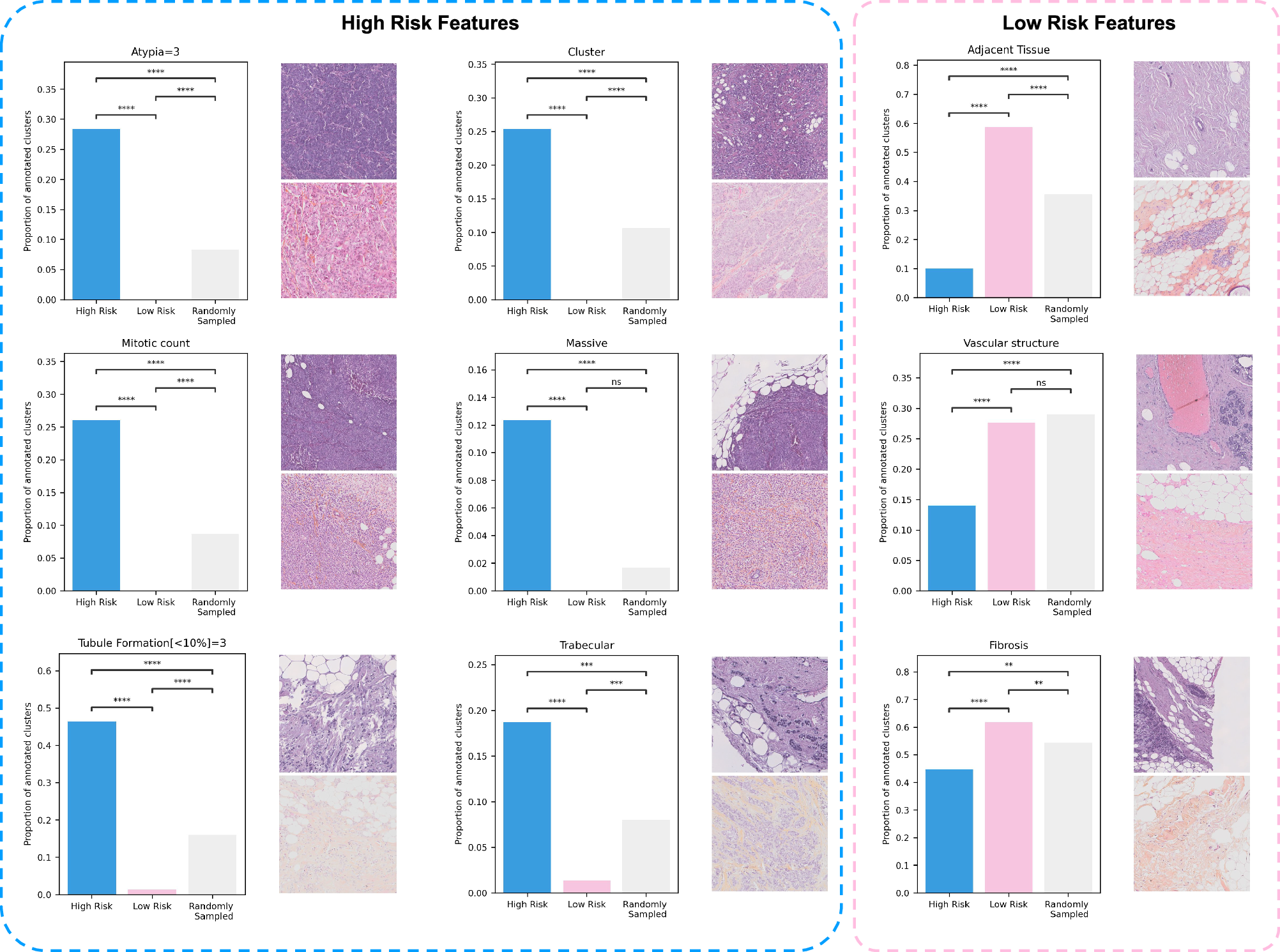 Fig. 6: A selection of the histological features annotated by an expert pathologist.