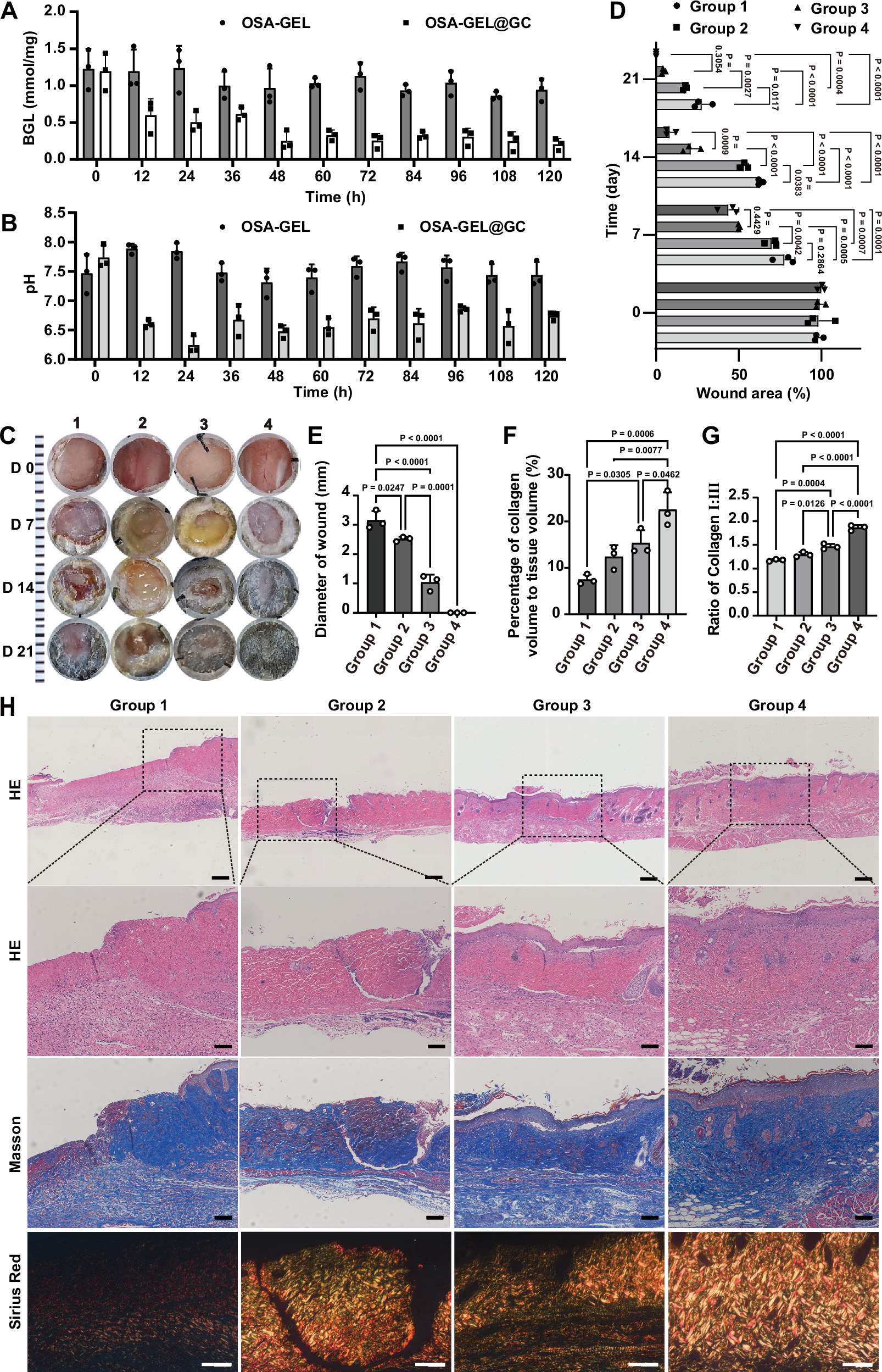 Fig. 4: The evaluation of the dynamic modulation of wound microenvironments and diabetic wound healing effect in vivo using OSA-GEL@GC hydrogel dressing.